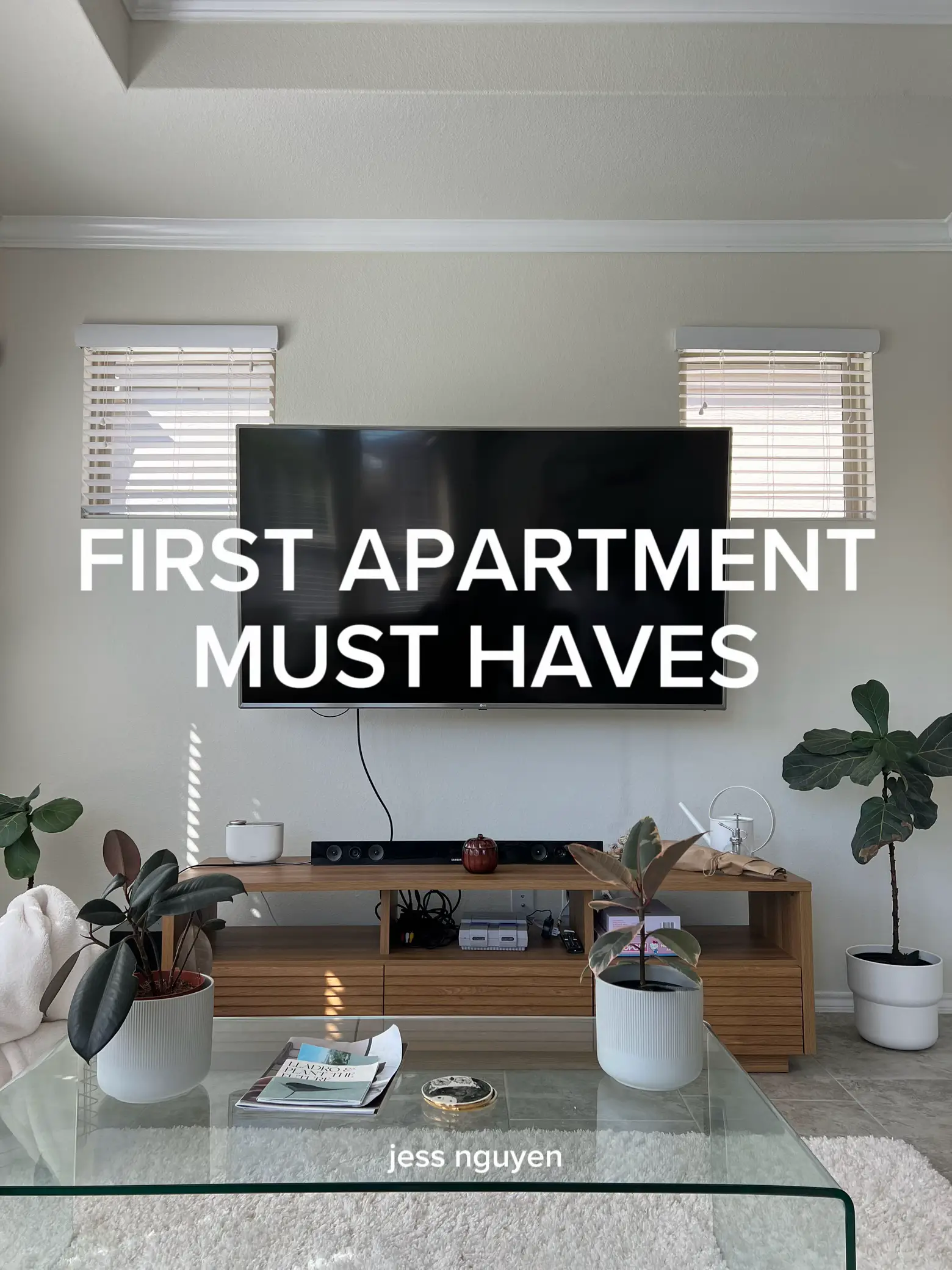 Apartment Must-Haves