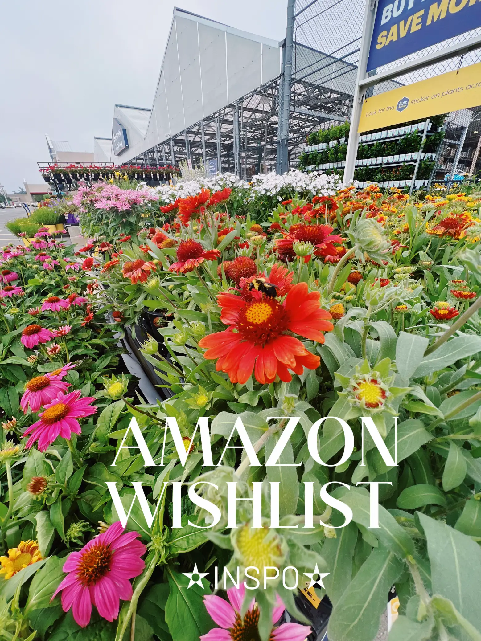 AMAZON | Gallery posted by Sofia Longo | Lemon8