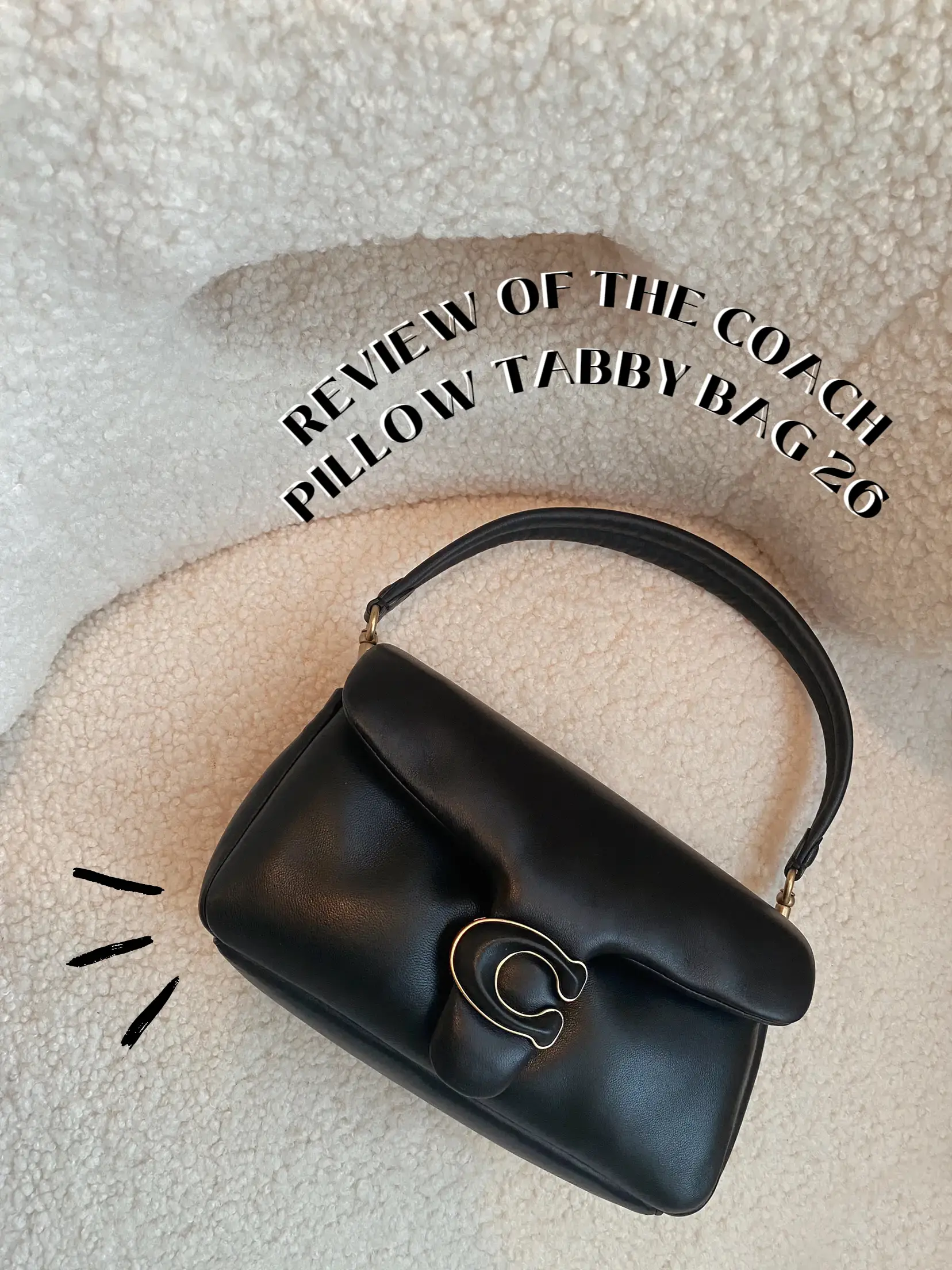 The Coach Pillow Tabby: Which One To Buy (18 or 26) 