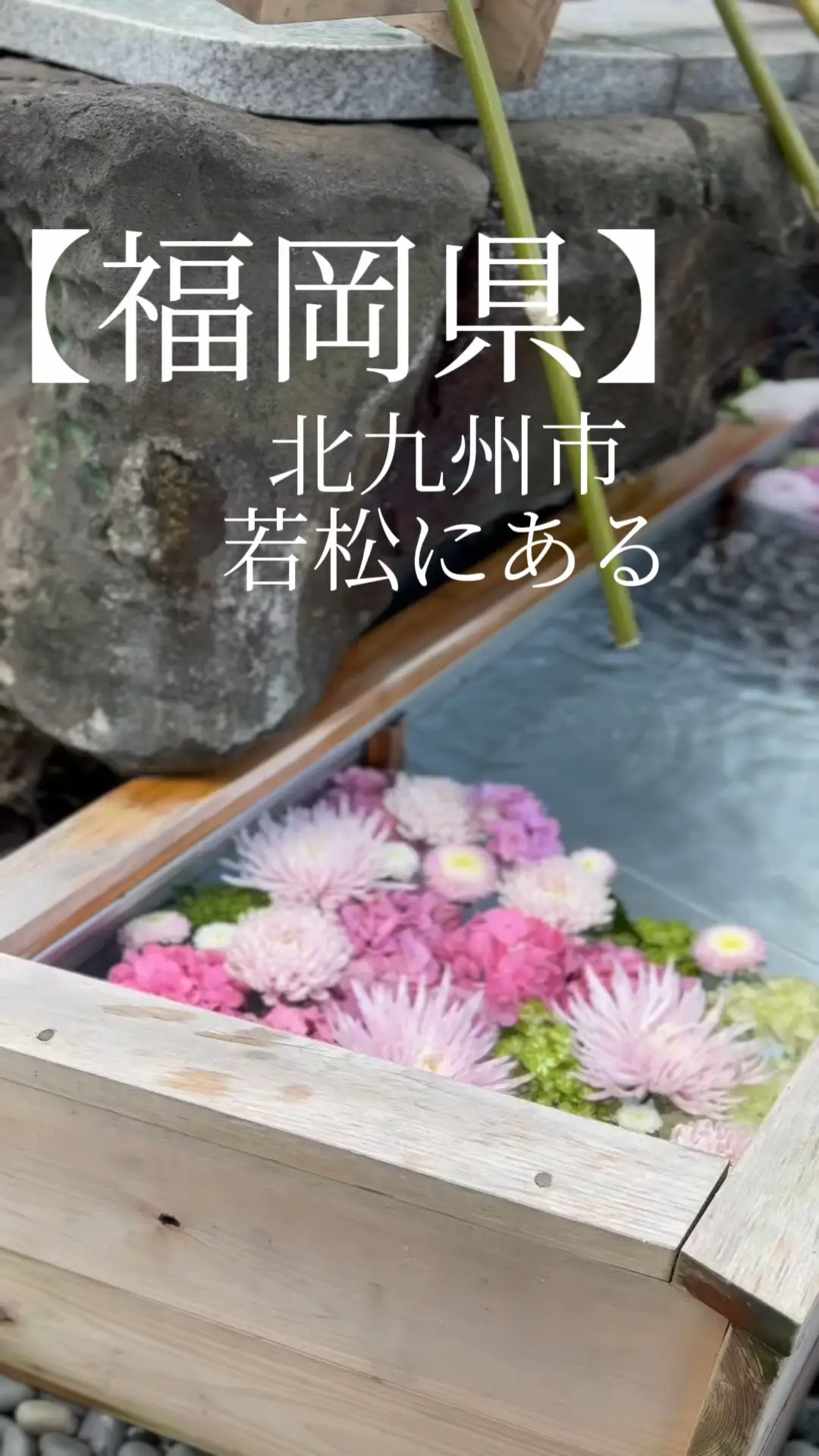 【福岡県北九州市】商売繁昌の神様🌿✨