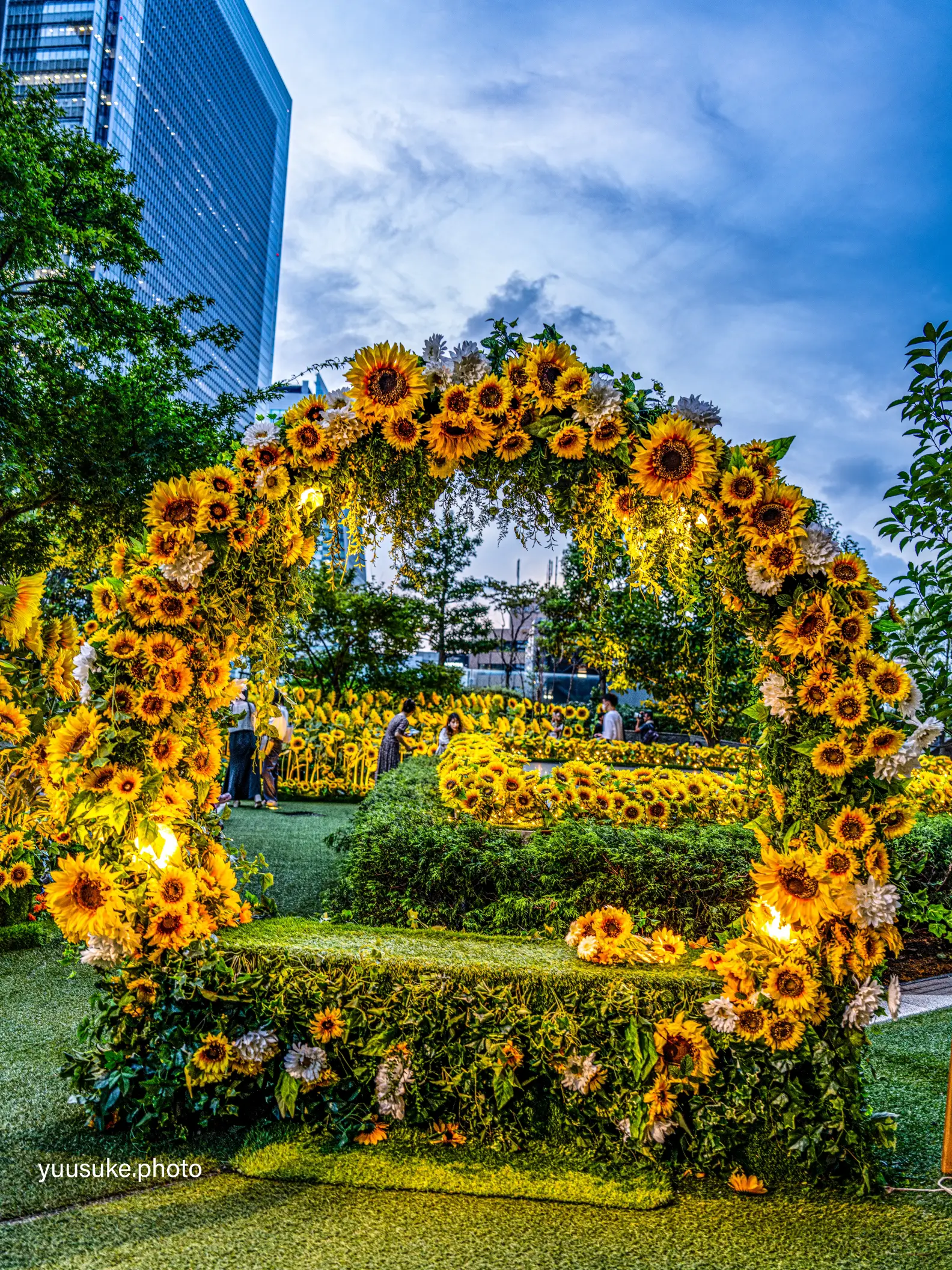 愛知県🌻｢絶対に枯れることのない🌻｣都心部に咲くひまわり庭園のライト