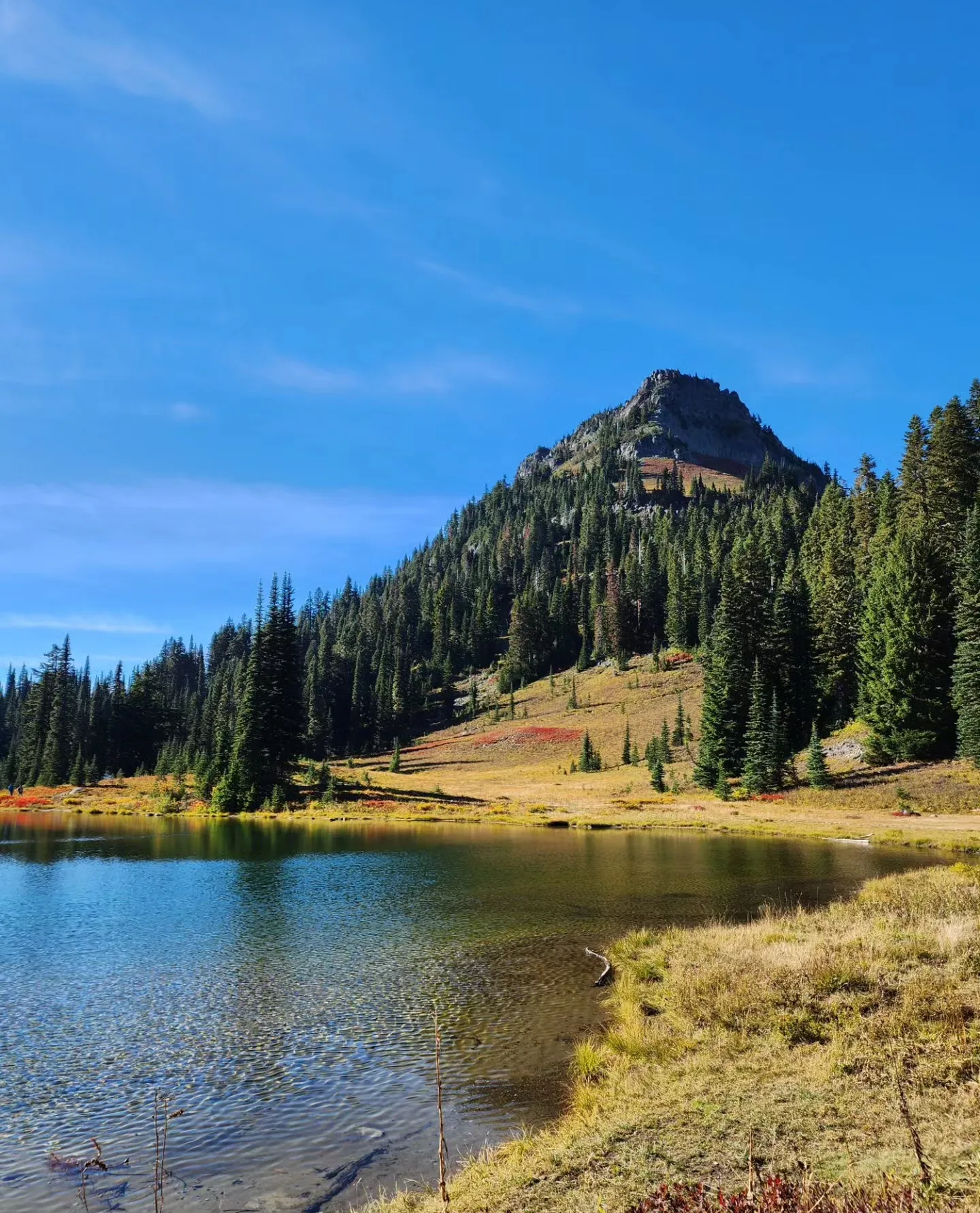 Loop Mount Rainer Naches Peak Loop, Mt. Rainier National Park | Galeri diposting oleh ...
