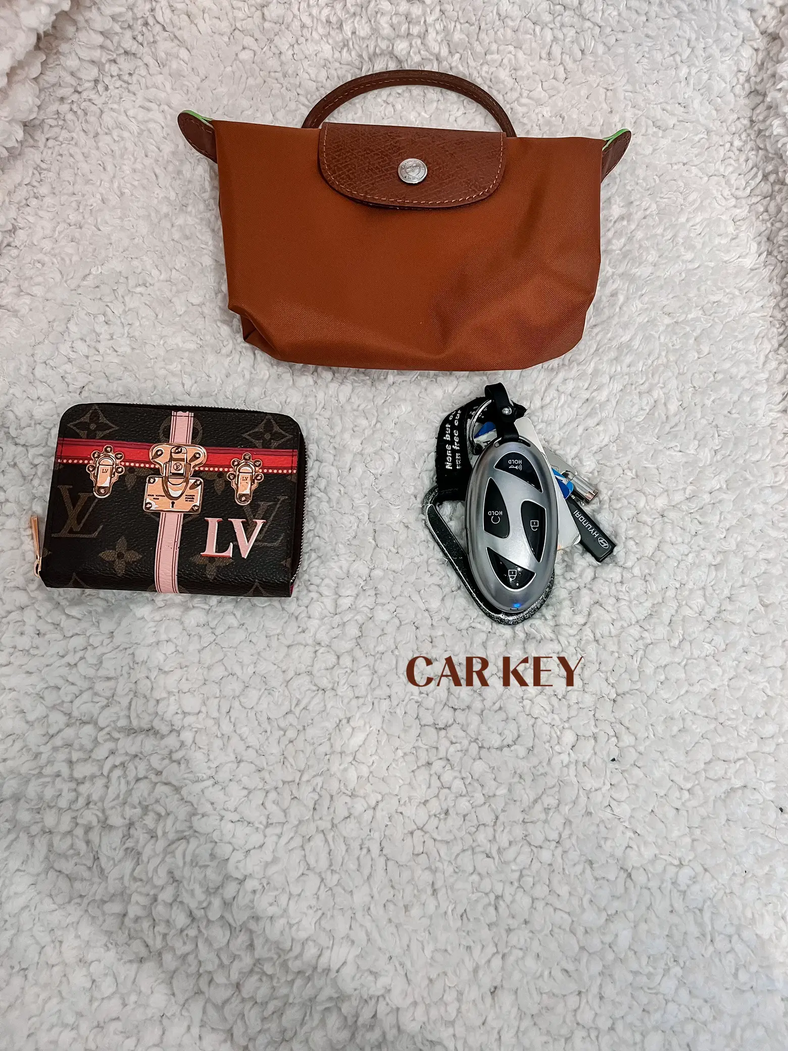 What's in my discount longchamp le pliage