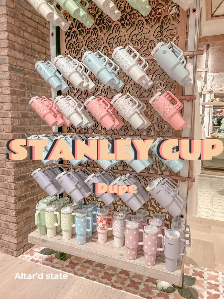 Elevate Your Stanley Cup Game with These Epic Accessories + Hacks! - Fresh  Mommy Blog
