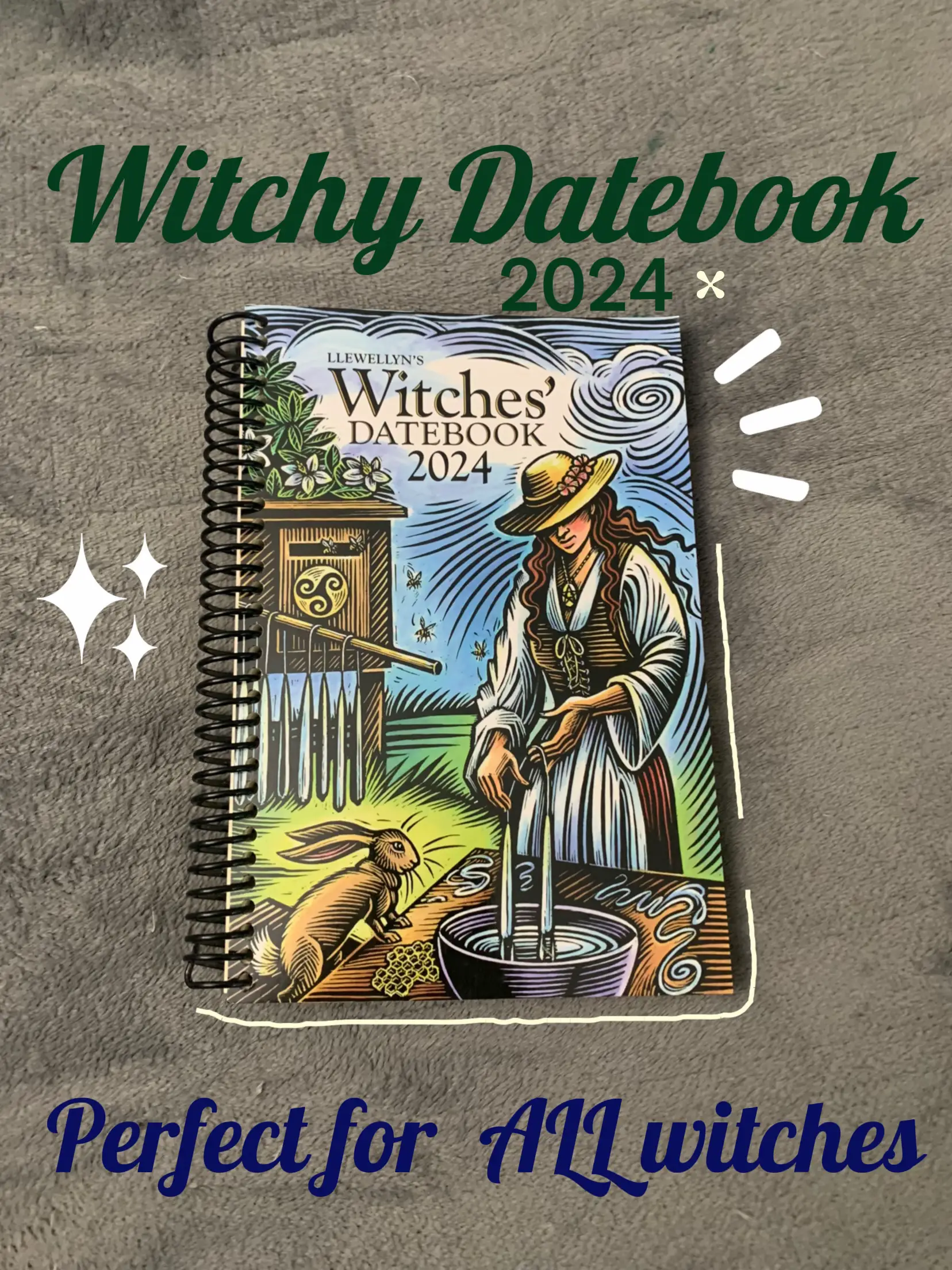 Year of the Witch 2024 Weekly Planner by Temperance Alden: Travel-Size  12-Month Calendar