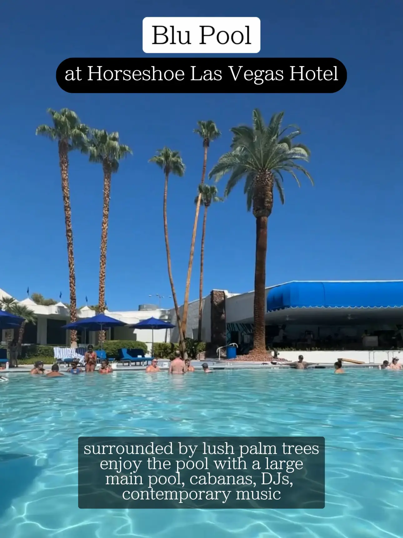 3 best hotel pools in Las Vegas Gallery posted by elinaways Lemon8