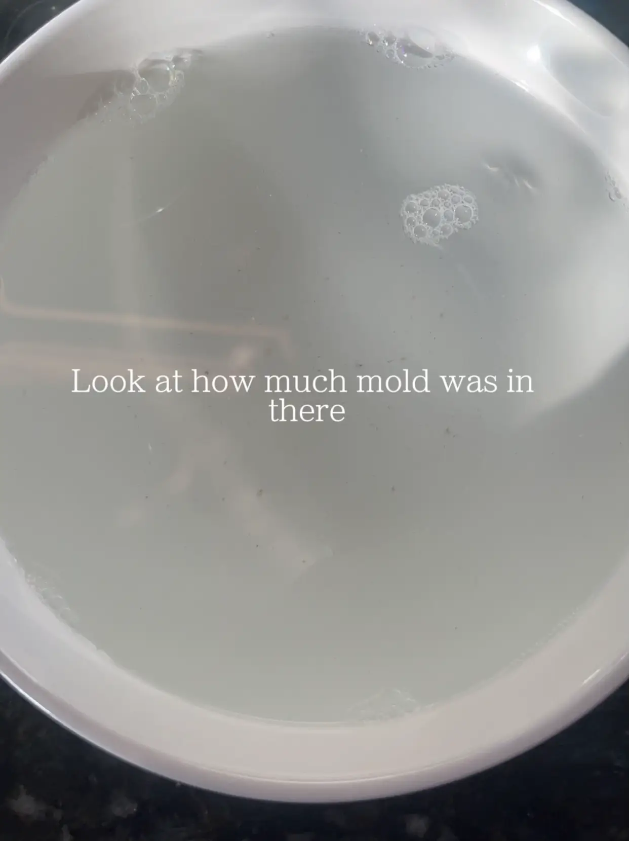 How to clean your Stanley Cup properly to avoid mold