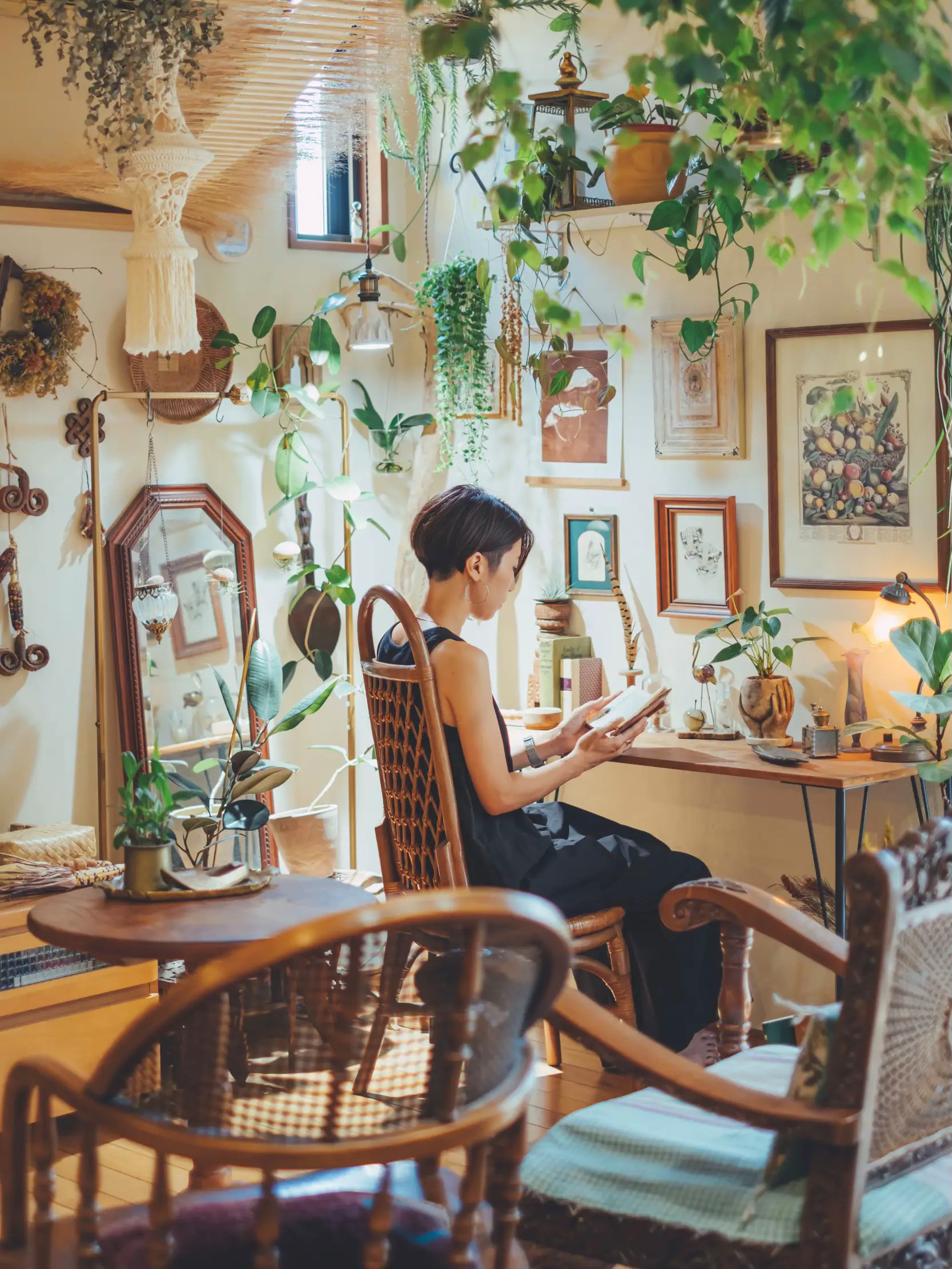 2024年のDesk Plantsのアイデア20選