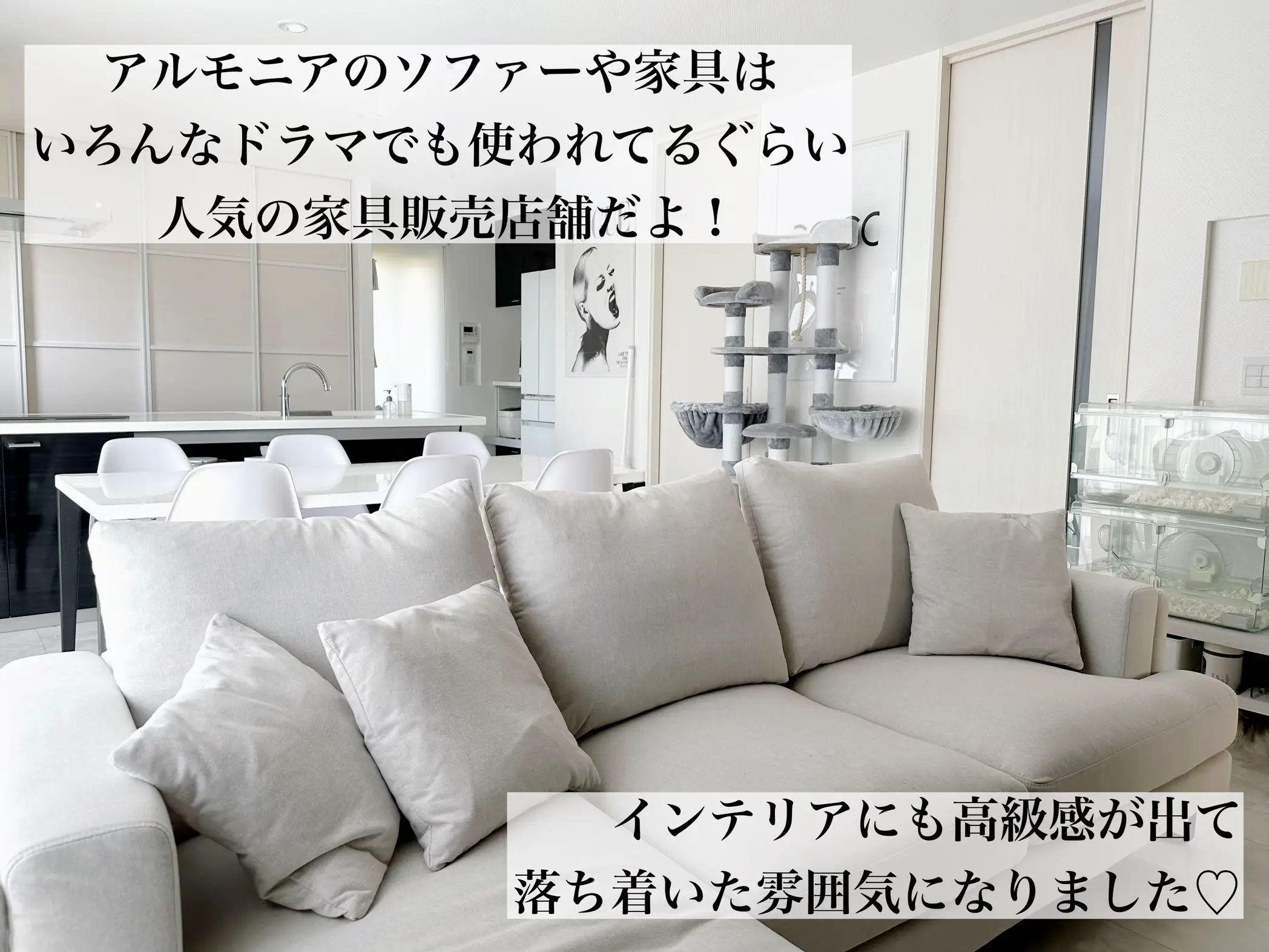 高級感あふれるカウチソファー🛋️ | SHOKOが投稿したフォトブック