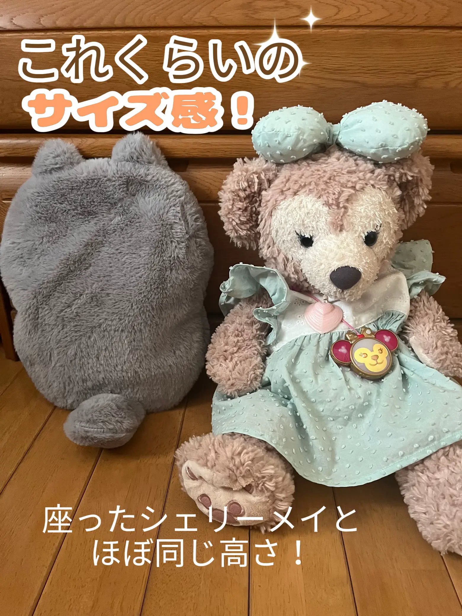 きょう様確認用 ねこ禅 人生がふニャっとなごむ50の教え 