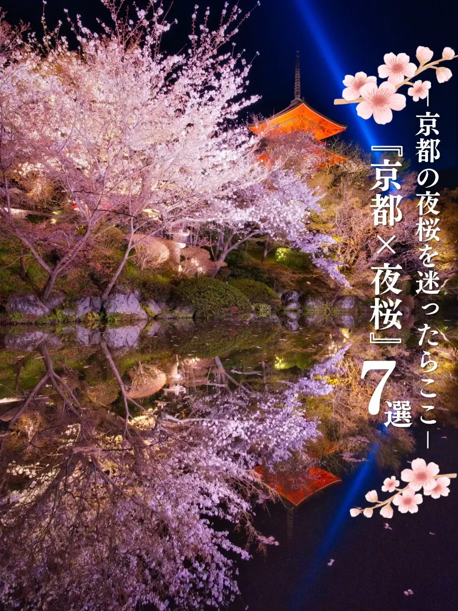 京都】今のうちに押さえておこう‼️京都×夜桜 7選✨※一夜で回るルートプラン情報付 | tenpaland📸✈️が投稿したフォトブック |  Lemon8