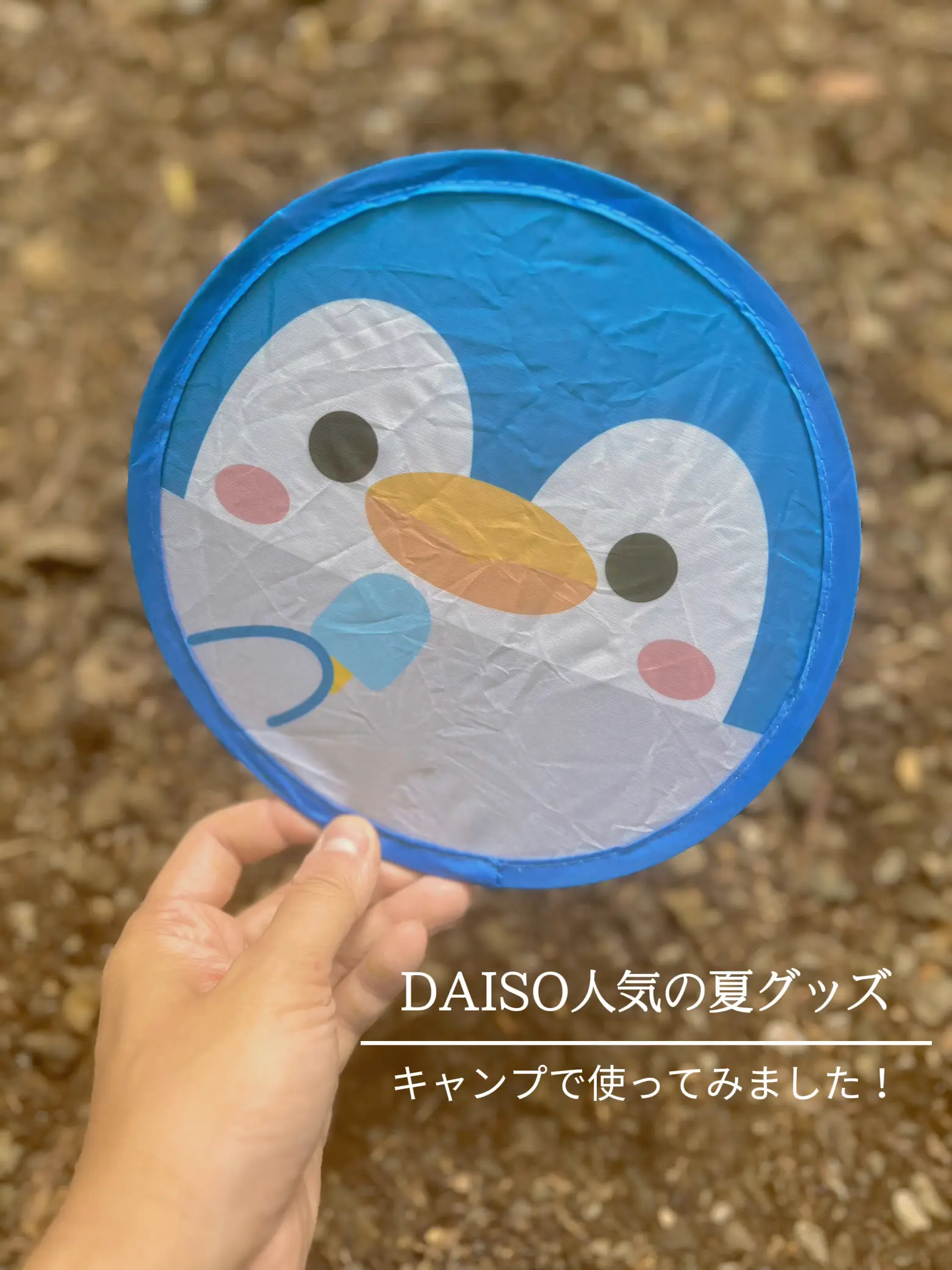 DAISO人気の夏グッズ〜キャンプで使ってみました！折りたたみうちわ