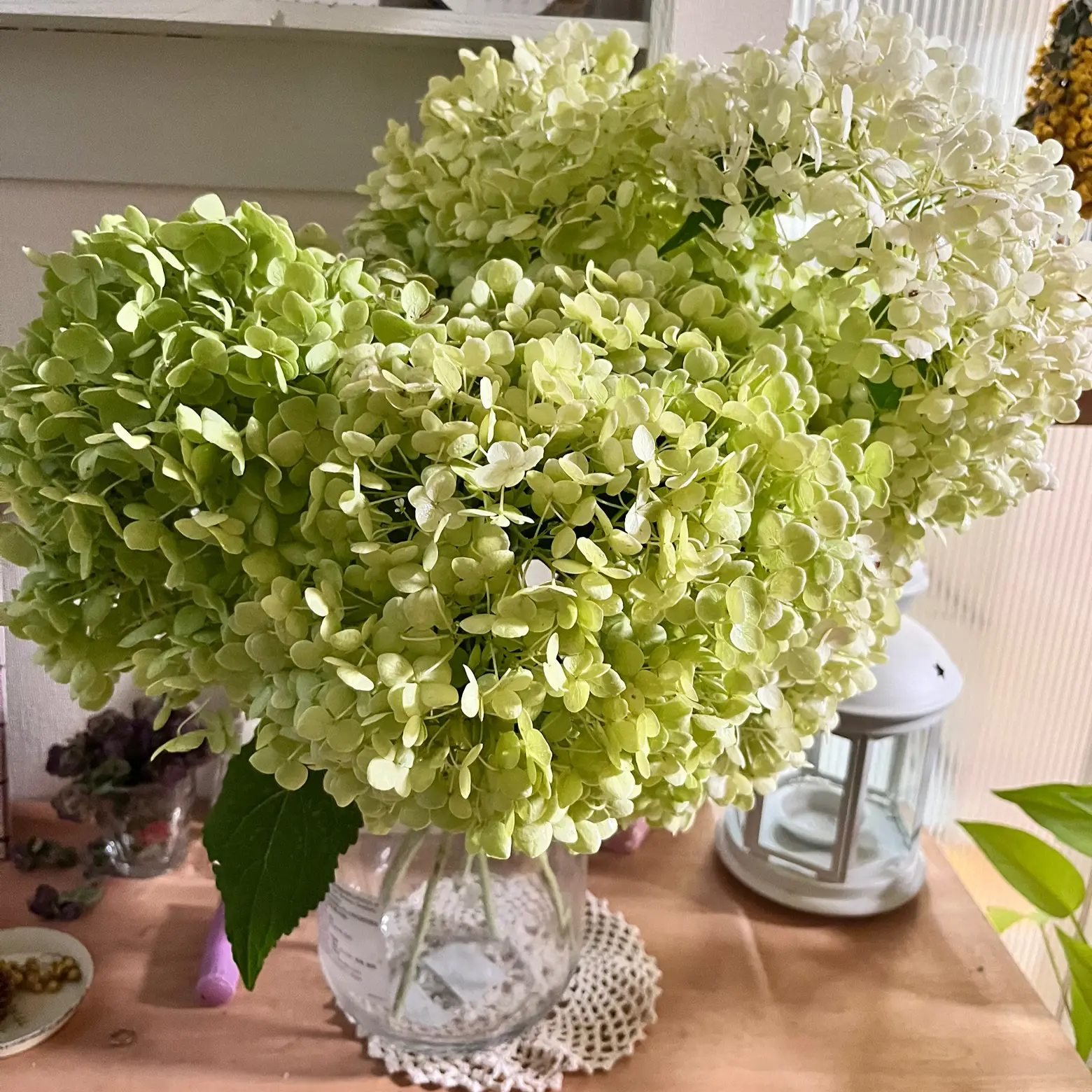 ドライフラワー スワッグ ガーランド 紫陽花 アナベル シンプル ナチュラル ドライフラワー スワッグ ガーランド 紫陽花 アナベル シンプル ナチュラル