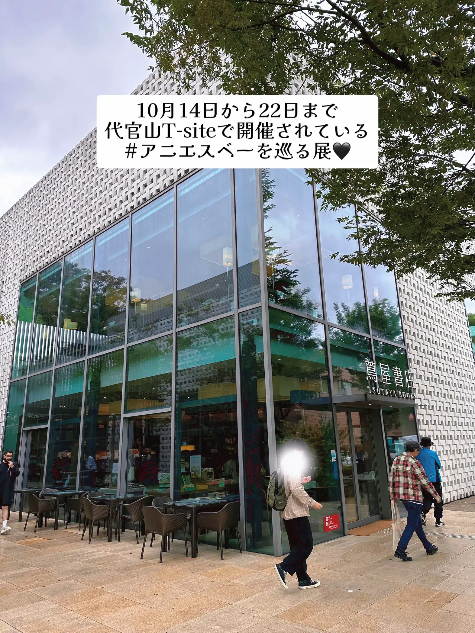 入場無料🆓】📍代官山 でアニエスべーを巡る展  予約方法まとめたよ