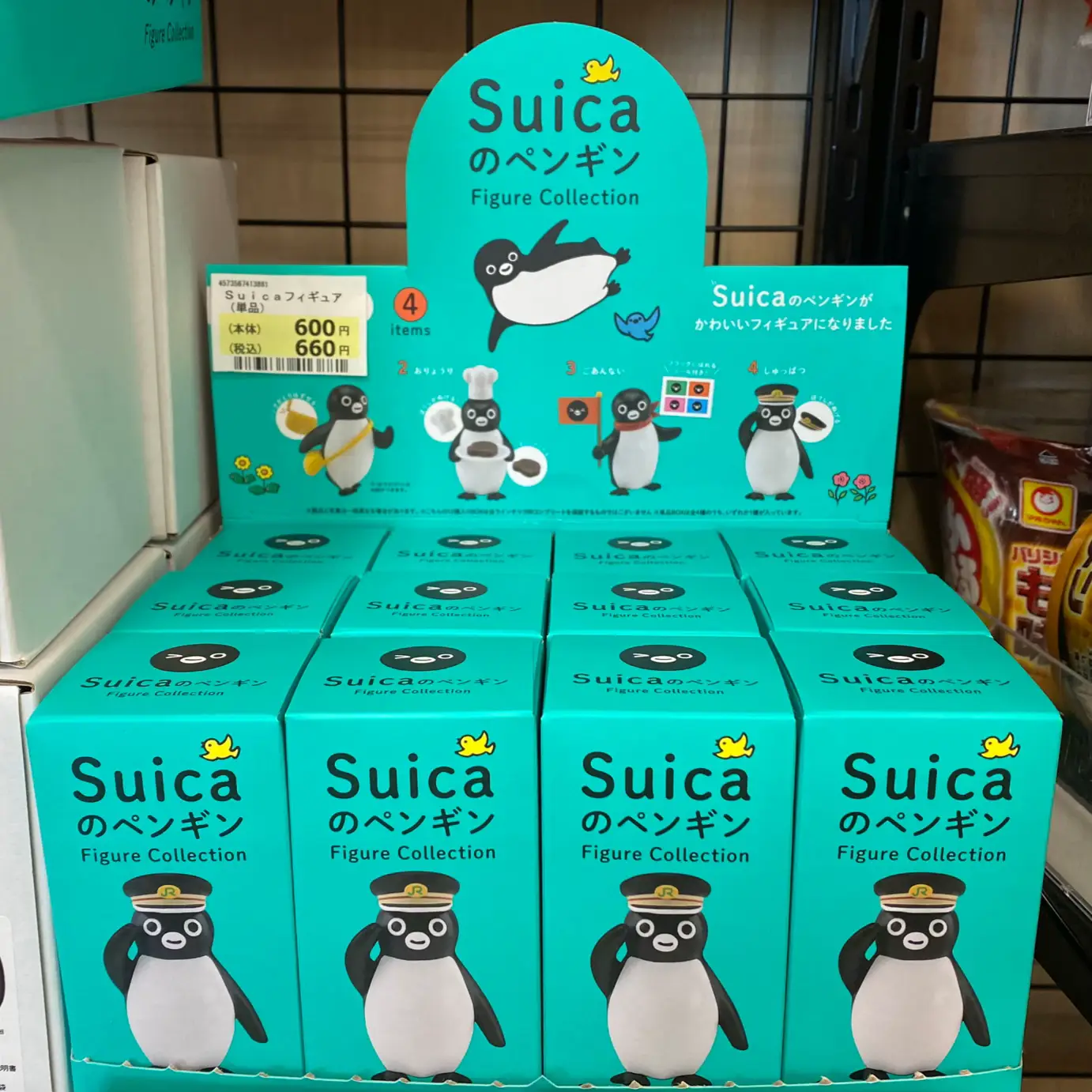 Suica | レイが投稿したフォトブック | Lemon8