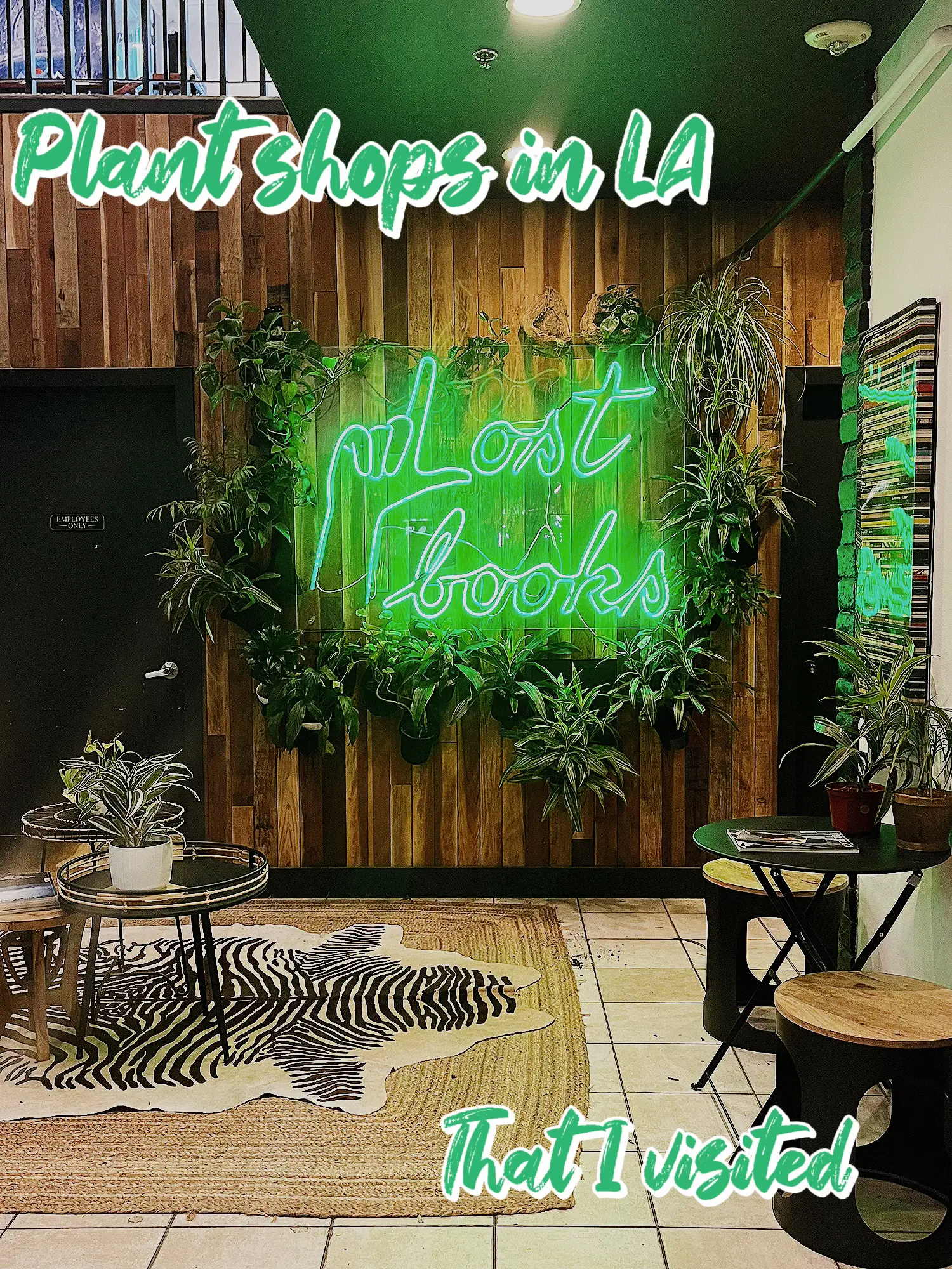 Cutest plants I recently visited! | Gallery posted by Cindy✨ | Lemon8