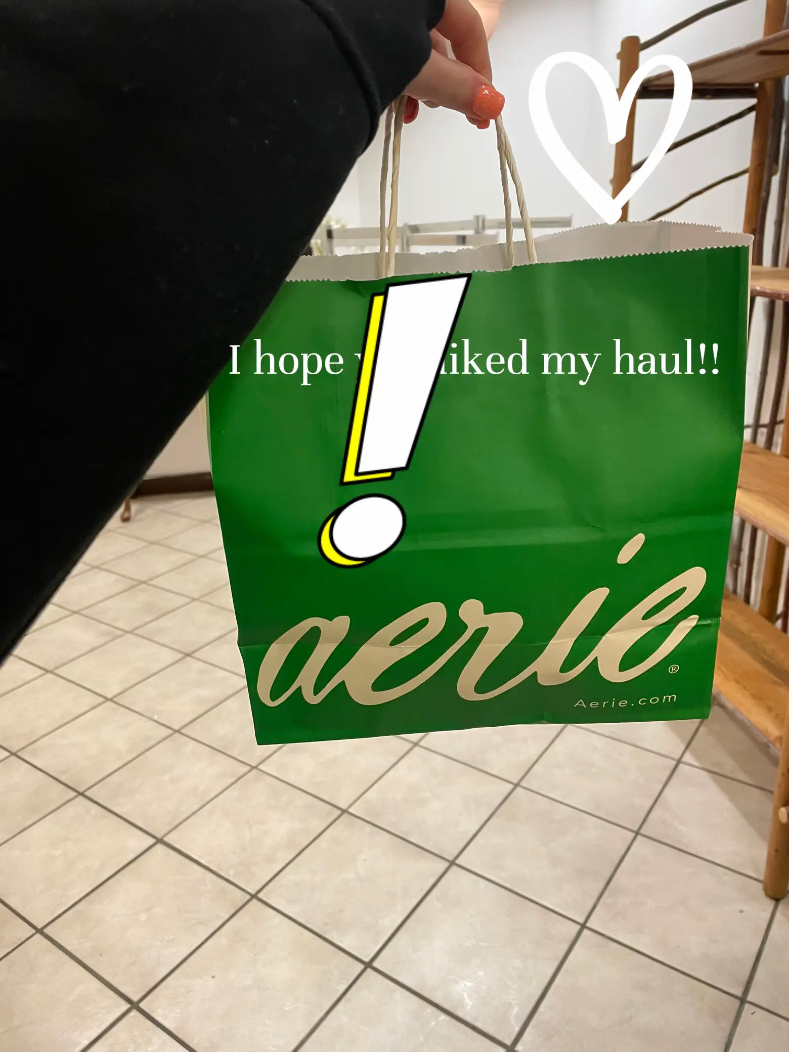 Aerie reusable online bag