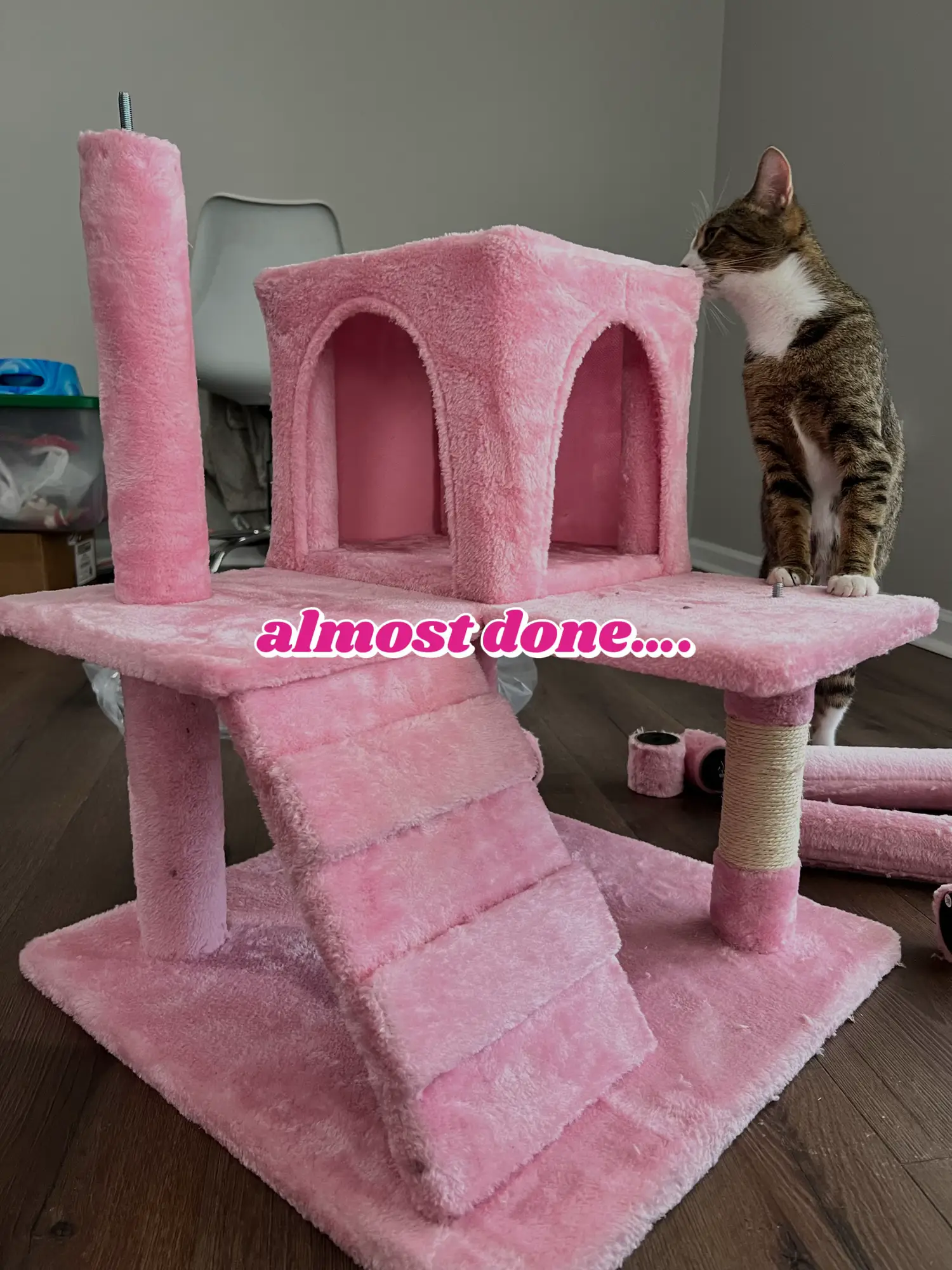 Pink cat outlet tower