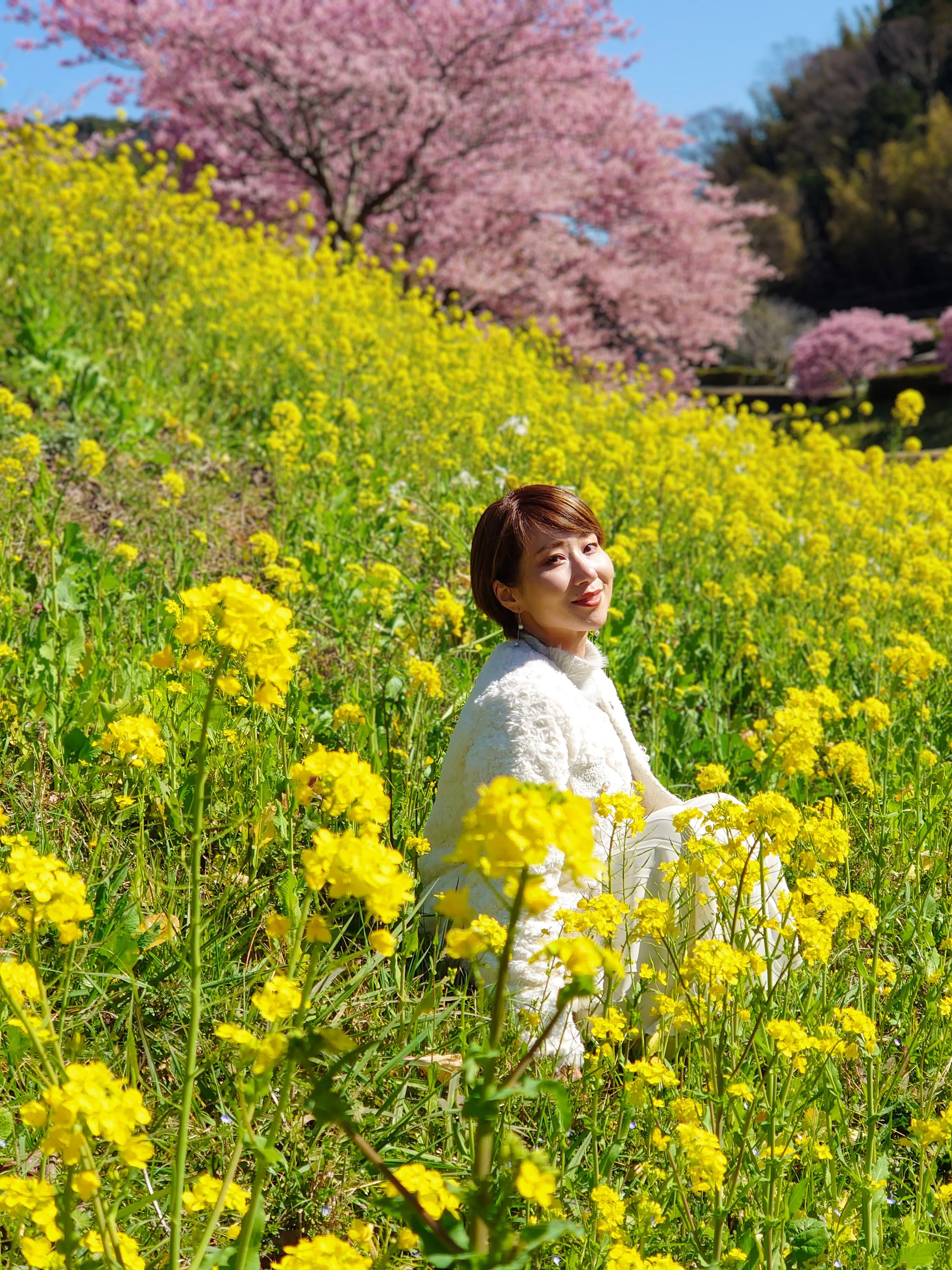 南伊豆】冬場が満開！2月下旬が見頃の河津桜と菜の花畑🌸 | Akiko 旅行業界で働くOLが投稿したフォトブック | Lemon8