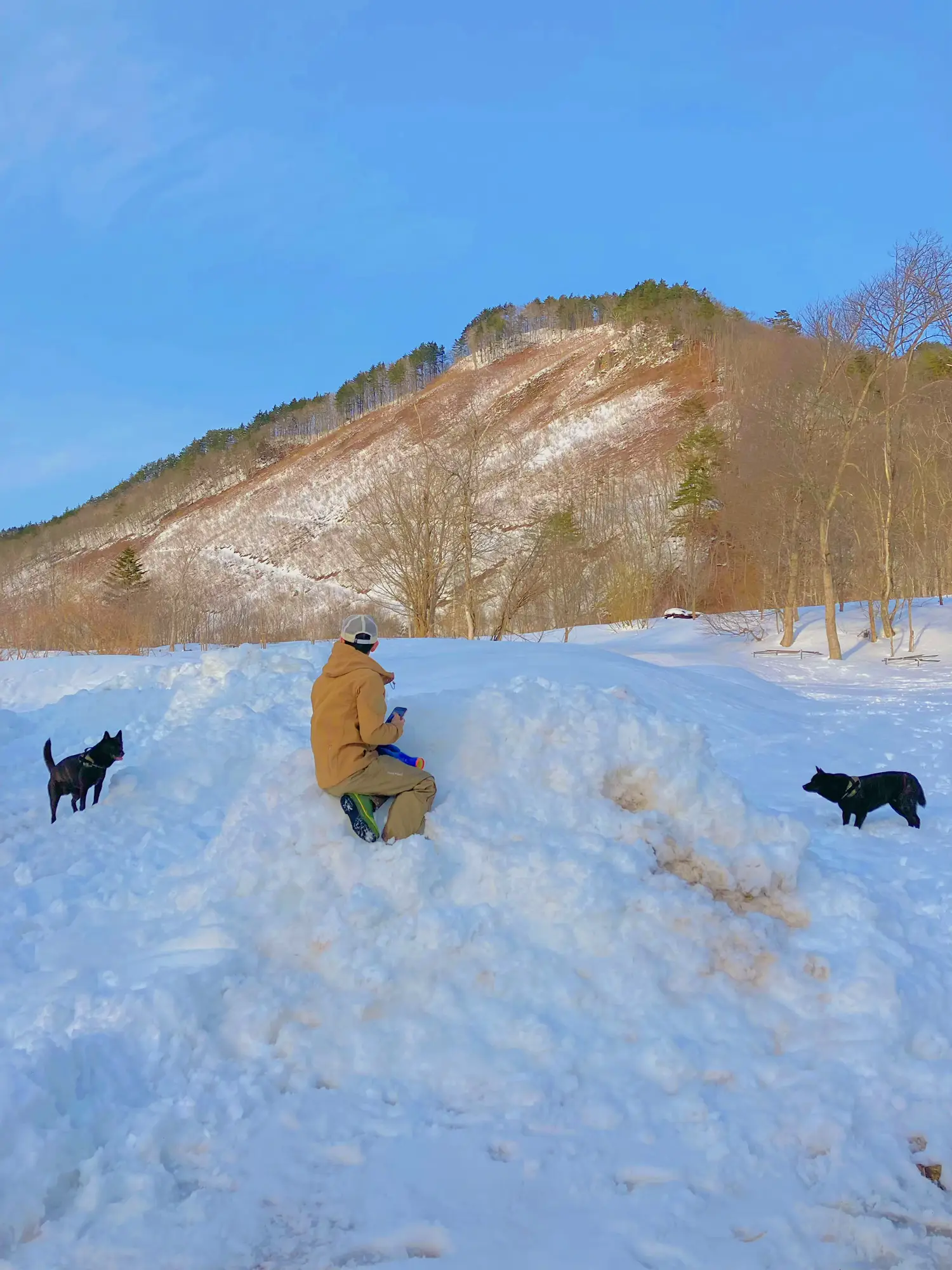 ウサギさん専用ページ。車山高原スキー場1日リフト券 山で雪遊び