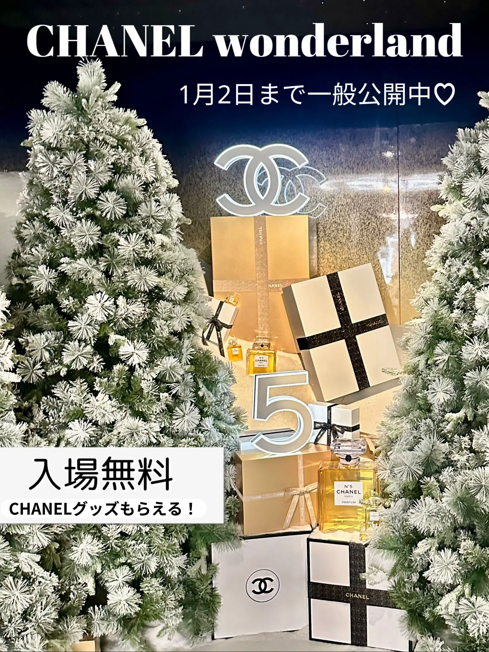 無料ギフトまでもらえる！CHANELクリスマスイベント🌟