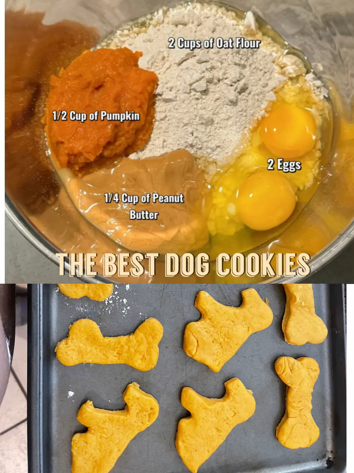 The best dog cookies | Gallery posted by Zack | Lemon8