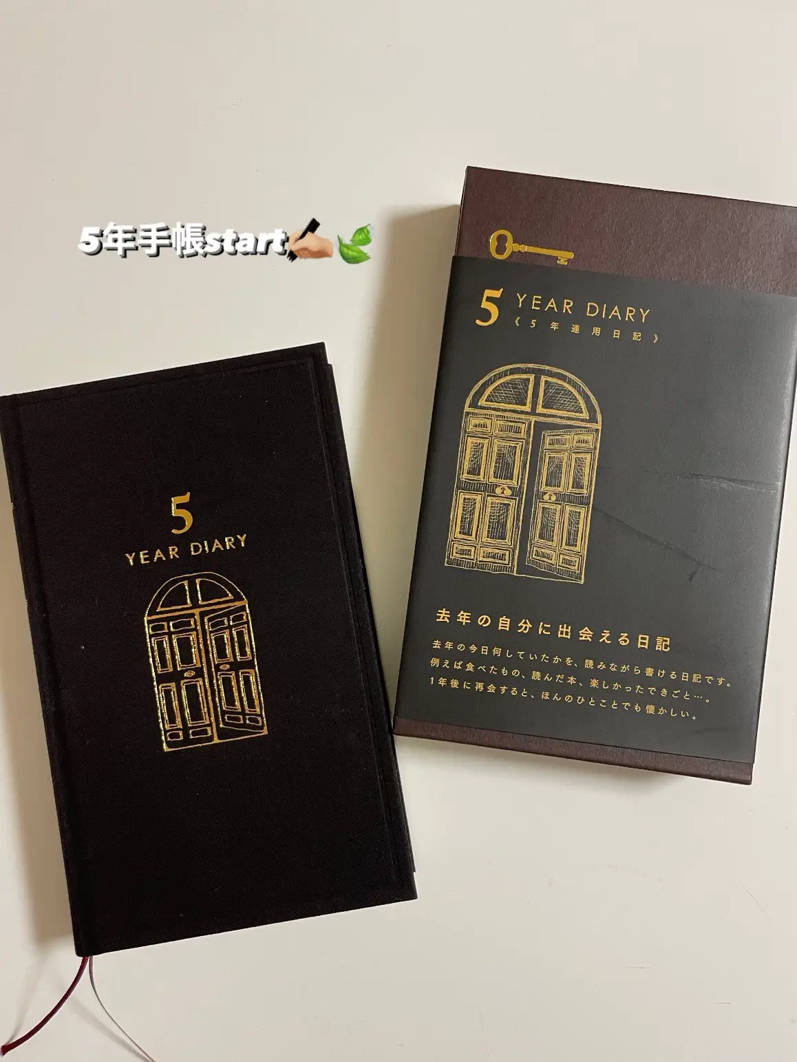 Journaling on Past Six Months - Lemon8検索