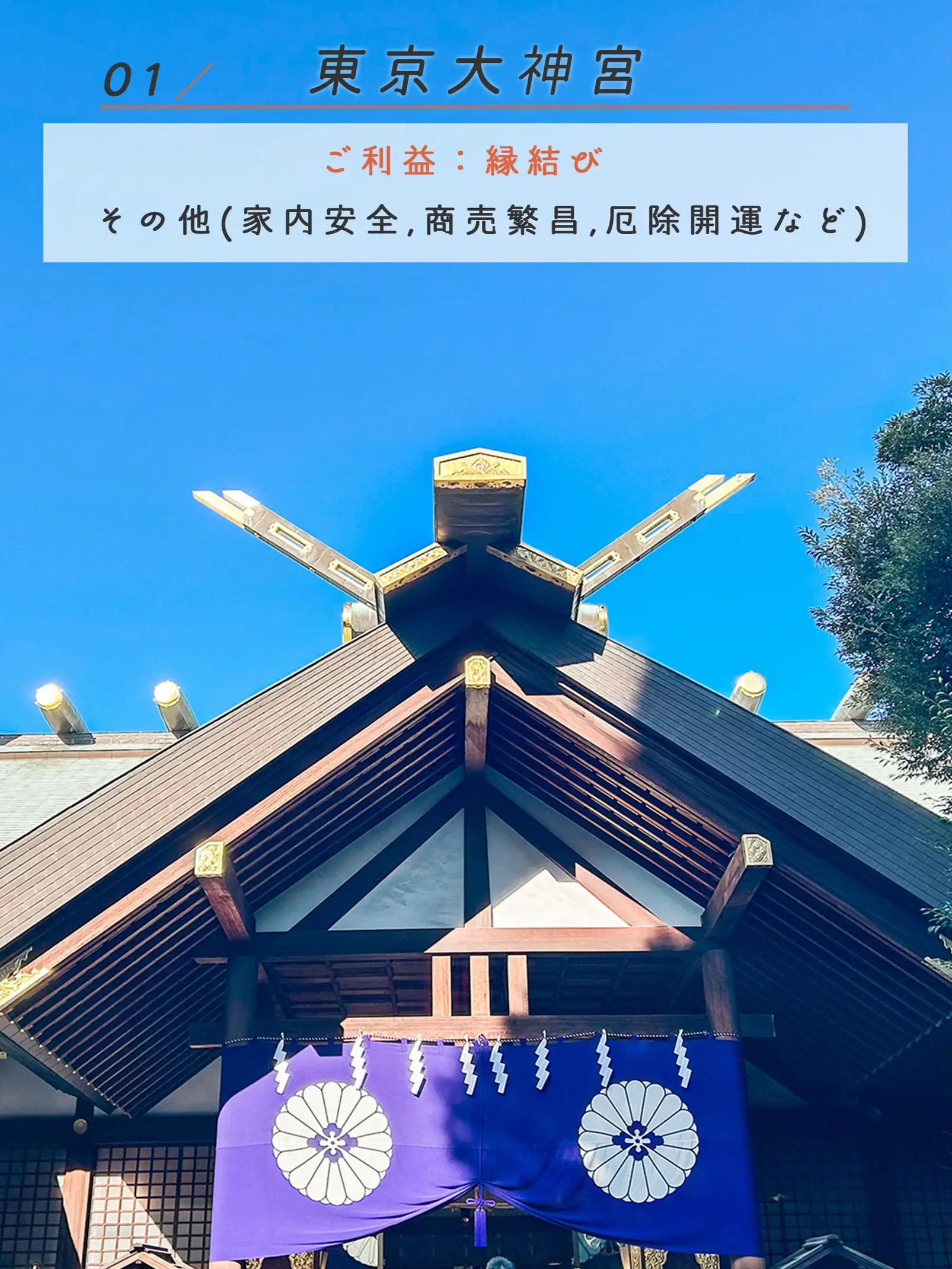 伊勢神宮御朱印帳出雲大社熱田神宮東京観光浅草浅草寺御利益商売繁盛