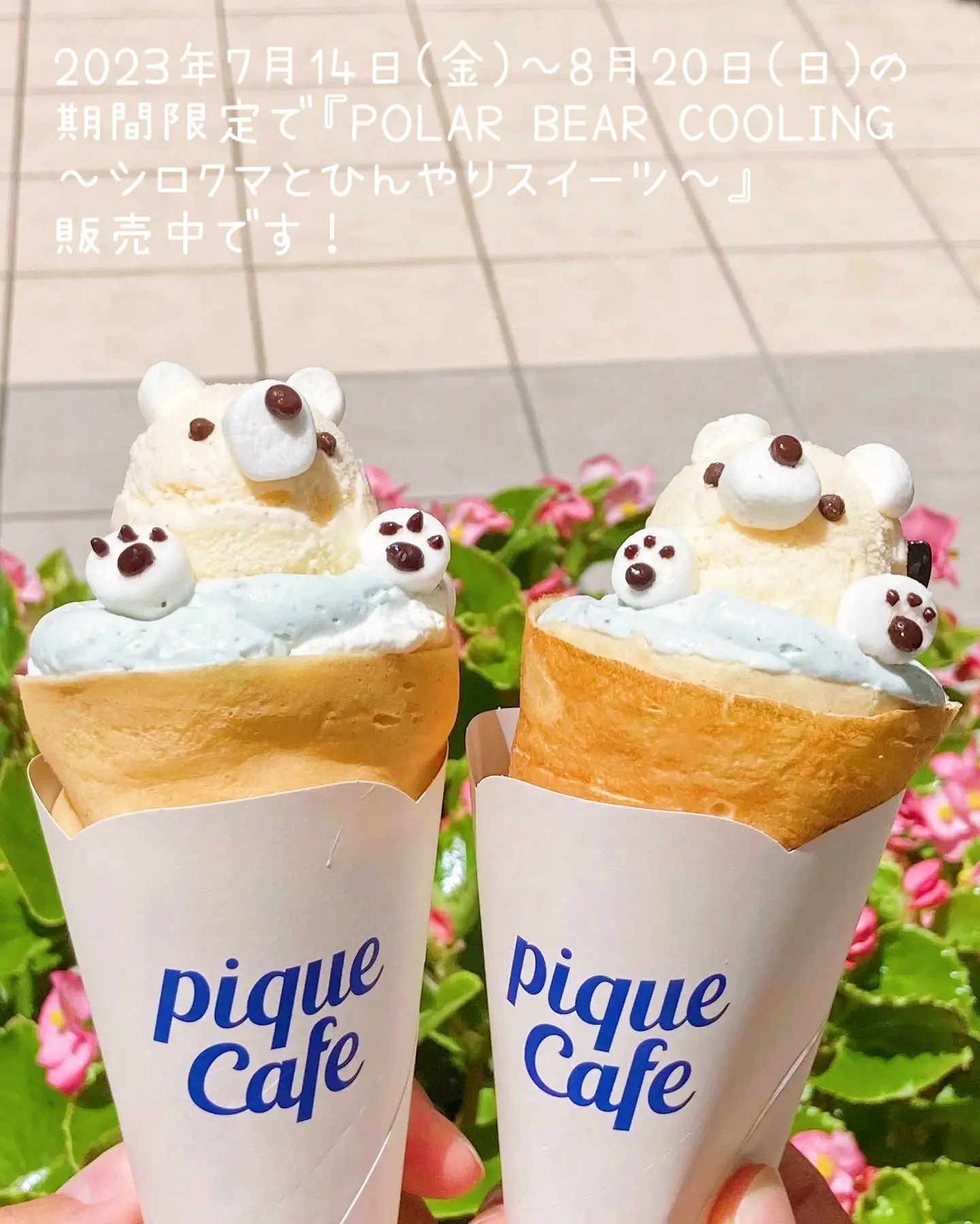 アイスコーン/シロクマ、茶くま 内気