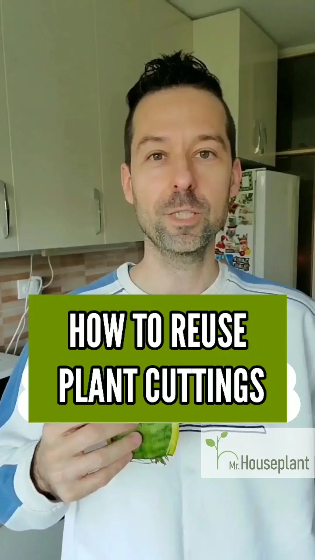 How To Reuse Plant Cuttings Video published by Mr. Houseplant Lemon8