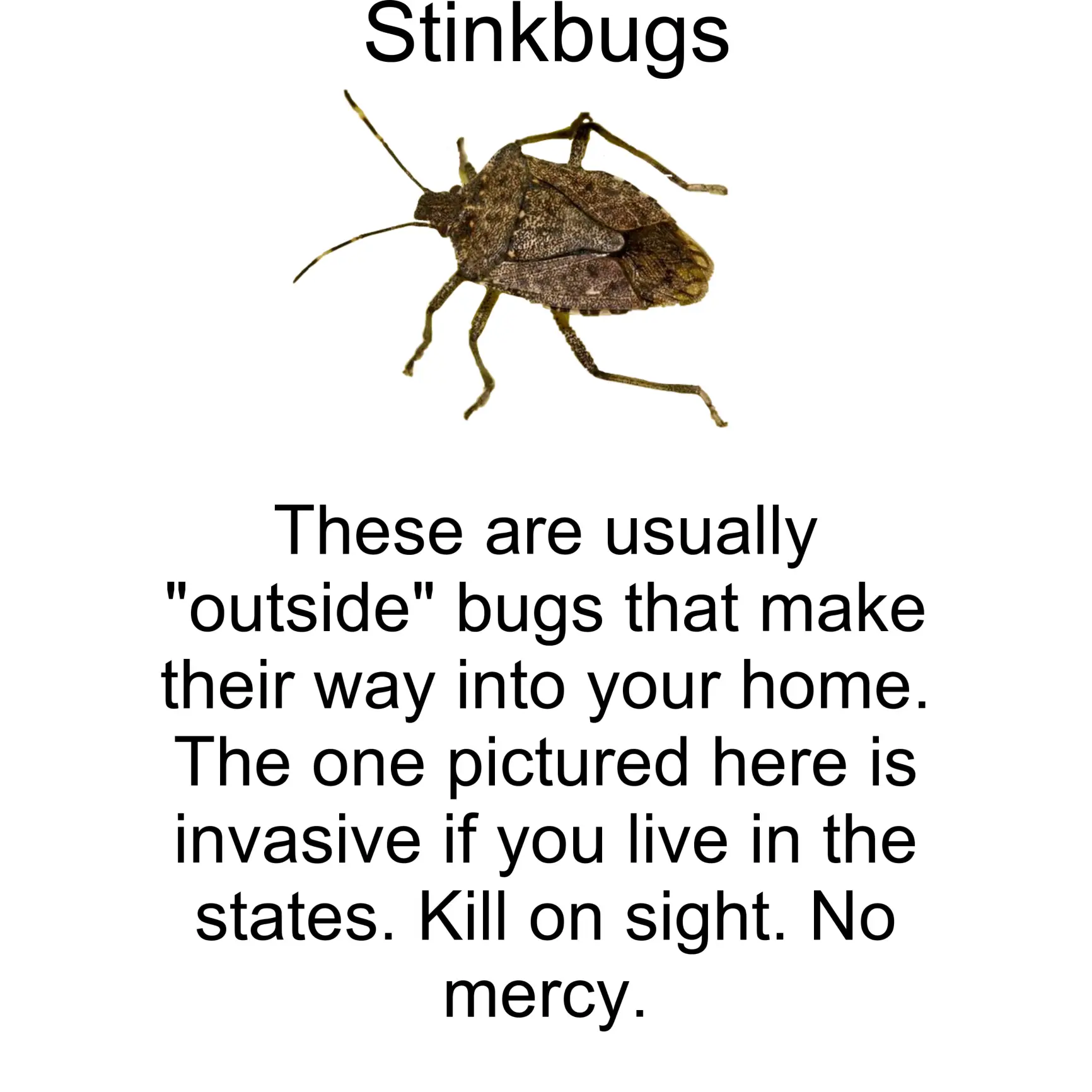 Your Depression Room And Bugs Gallery Posted By Keeper Lemon8 your-depression-room-and-bugs-gallery-posted-by-keeper-lemon8