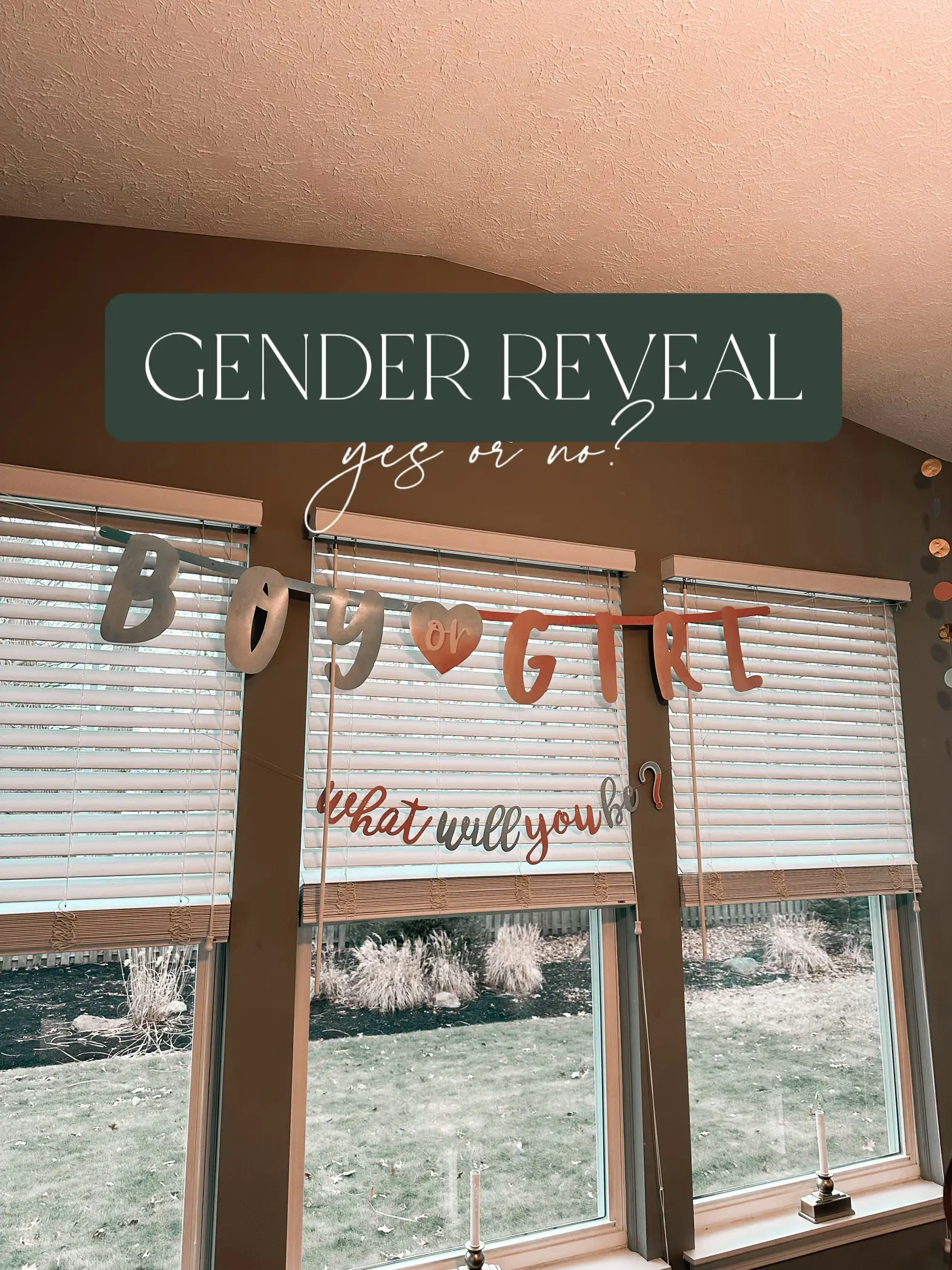 Gender Reveal Party - Taryn Newton