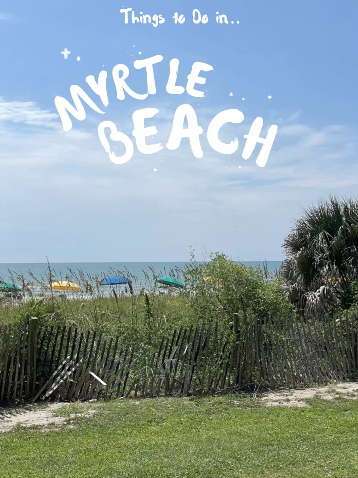 20 top Myrtle Beach Book Store ideas in 2024