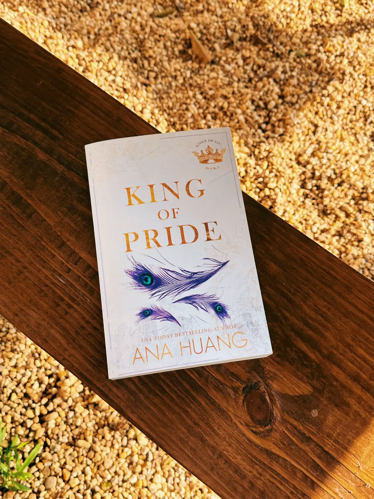 King of Pride – Ana Huang – Pocket