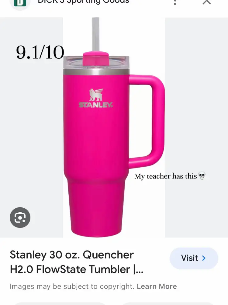 Luxury for Less Stanley Adventure Quencher Honest Review, stanley quencher  cup