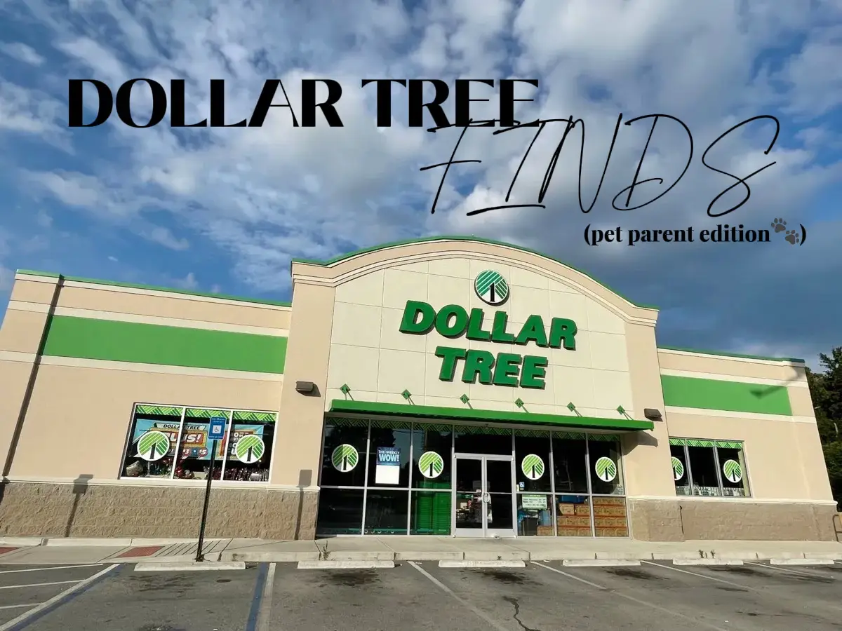 Cheap Pet Supplies at Dollar Tree Lemon8 Search