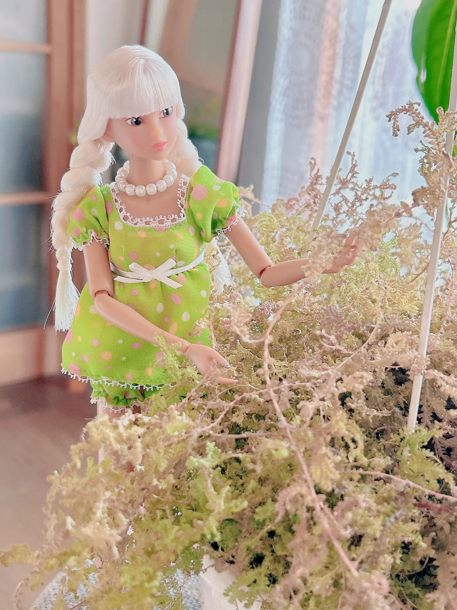 Wake 繰り広げる Up momoko DOLL WUDsp 横浜人形の家 White