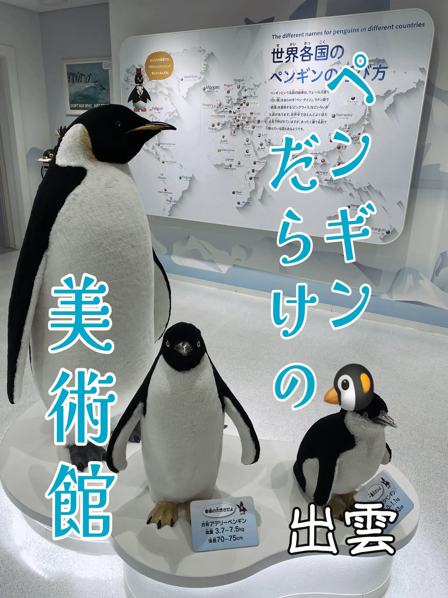 仲良しペンギン♡お魚set 仲良しペンギン♡お魚set