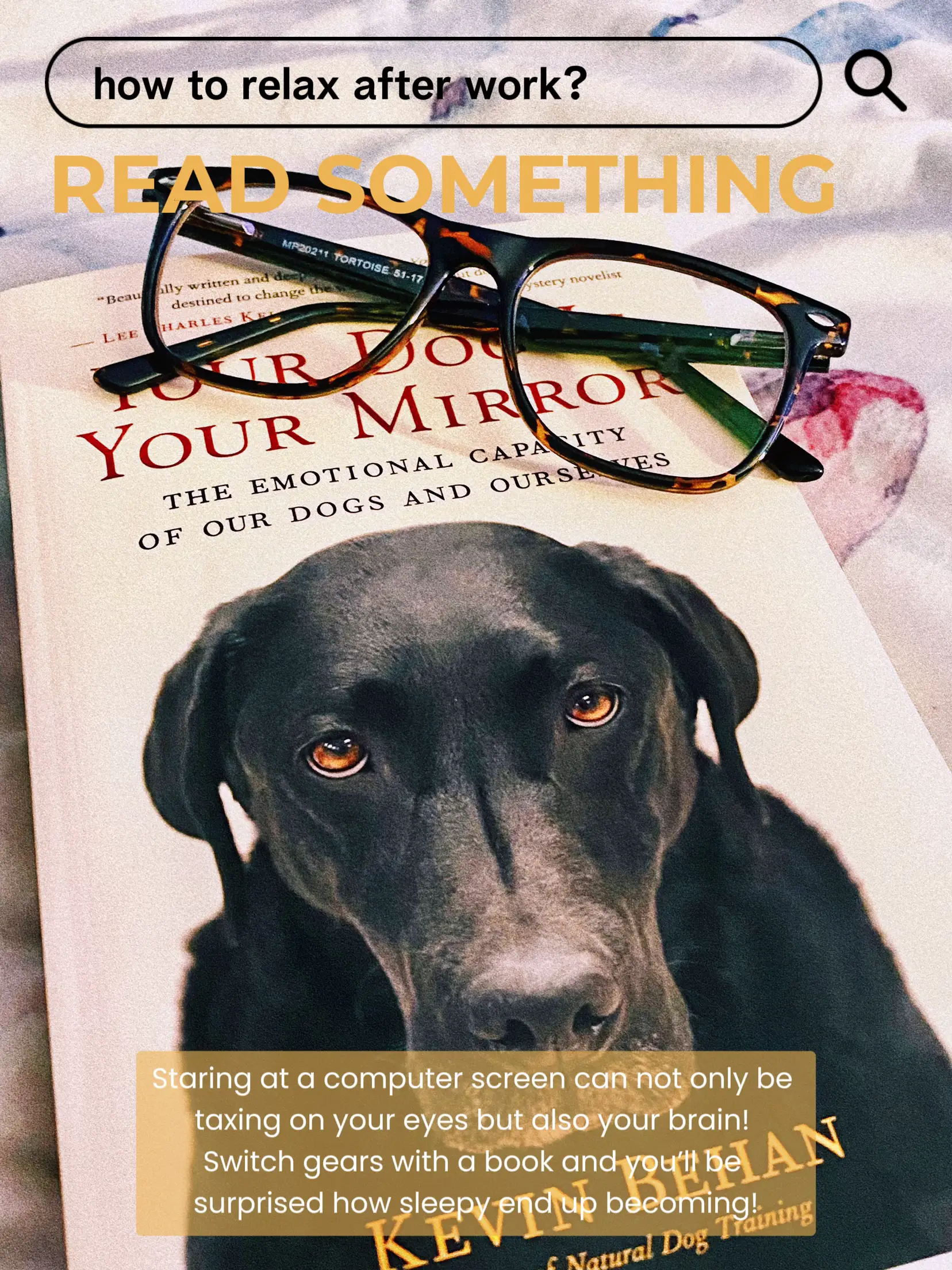 your dog is your mirror pdf - Lemon8 Search