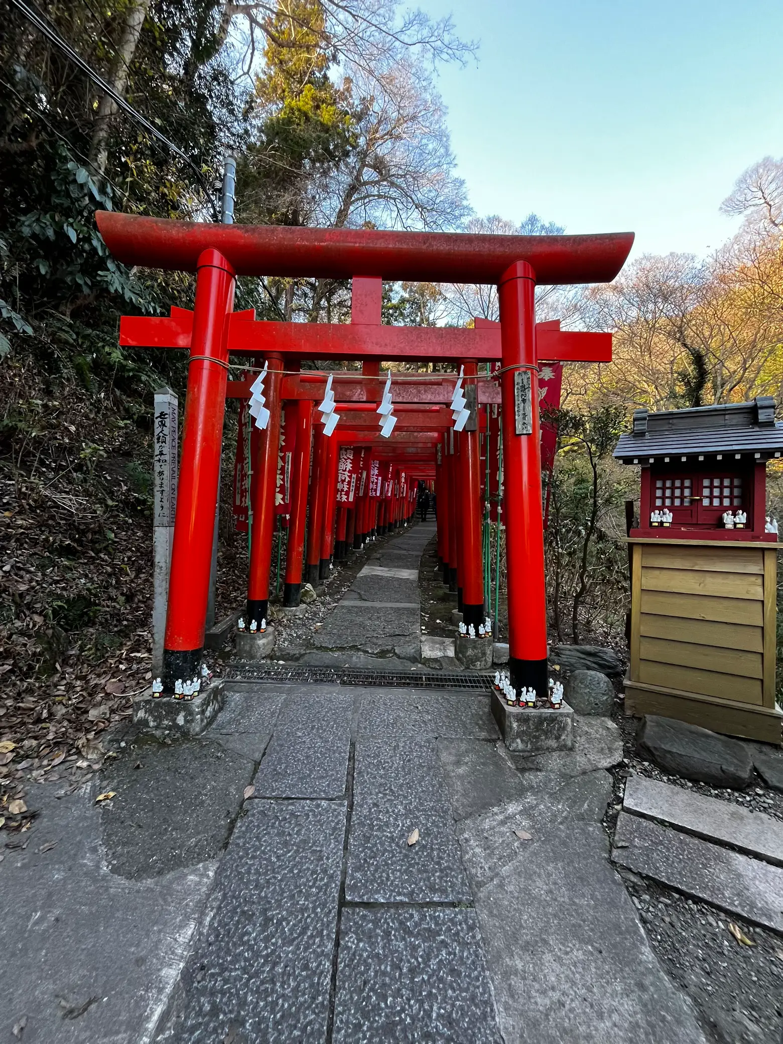 佐助稲荷神社 鎌倉 | ママさんが投稿したフォトブック | Lemon8