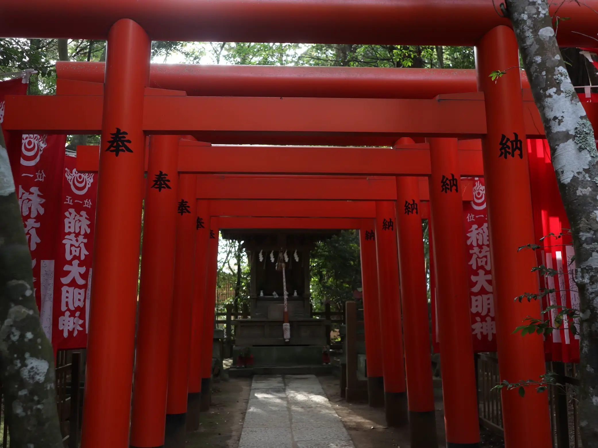 茨城県にある神々しい神社⛩✨️ | ヘムが投稿したフォトブック | Lemon8