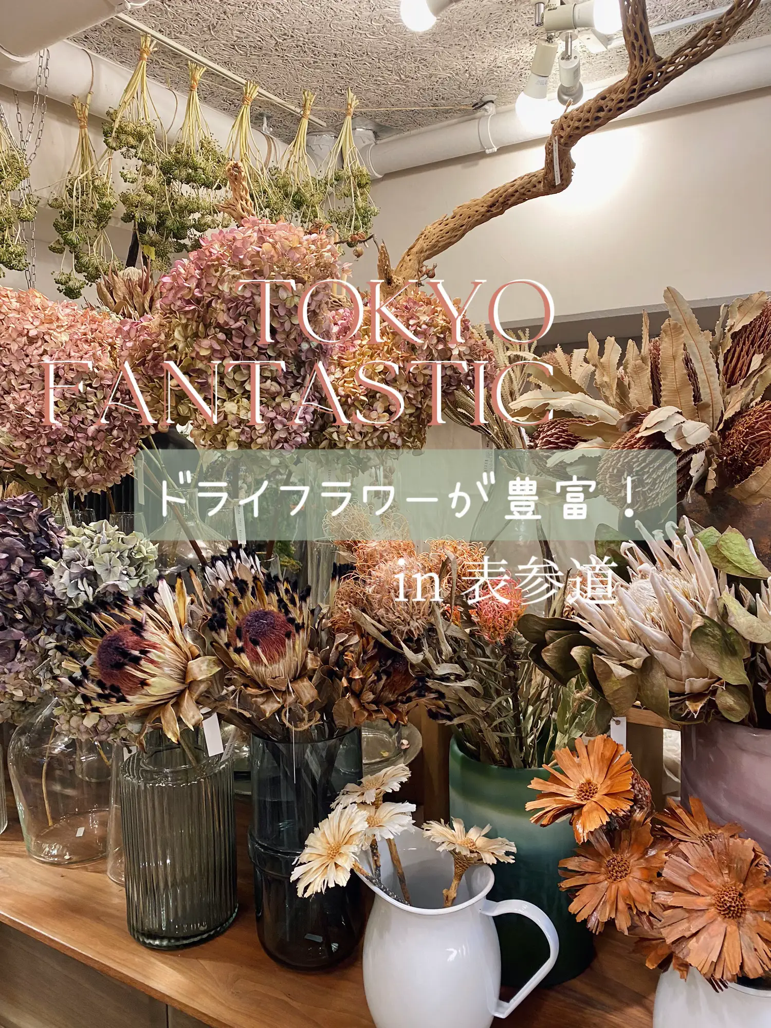 ドライフラワーが豊富💐 | ma-♡が投稿したフォトブック | Lemon8