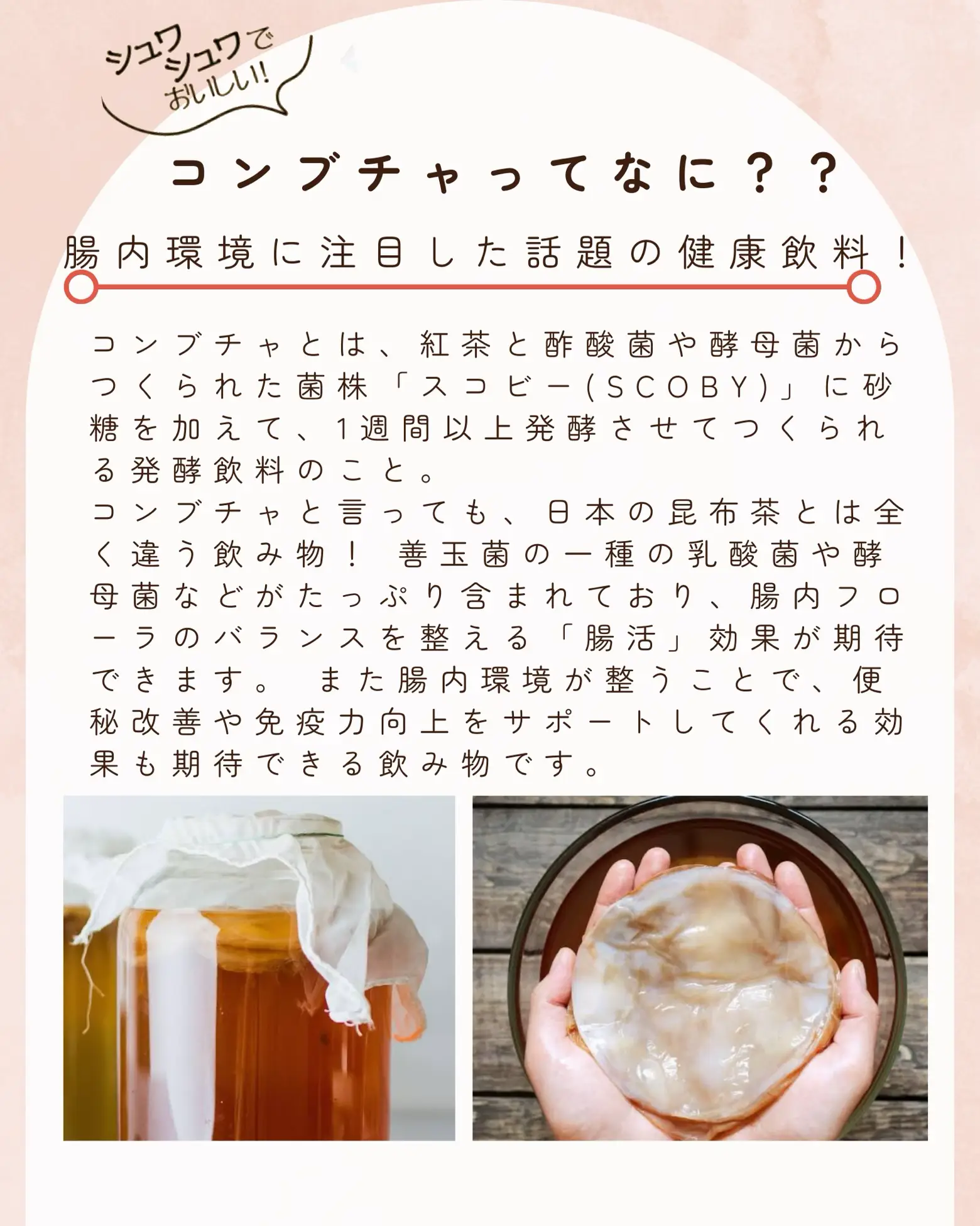 2024年のKombucha Drink Recommendationのアイデア20選