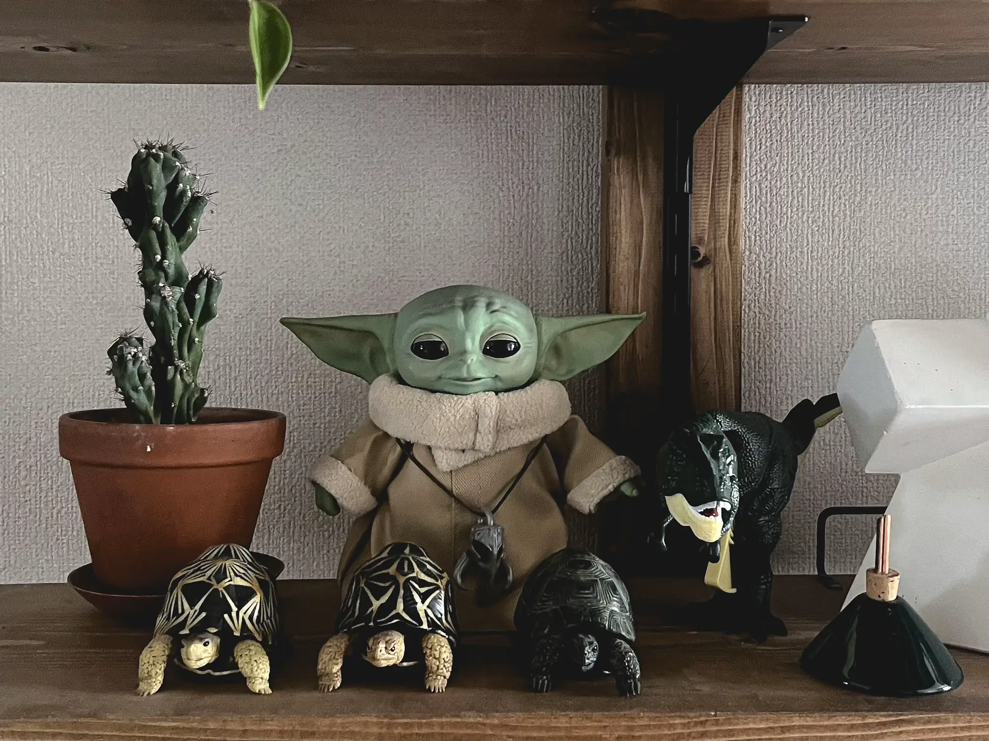 คอลเลกชันศิลปะของฉัน | แกลเลอรีที่โพสต์โดย I NO IRO / イノイロ | Lemon8