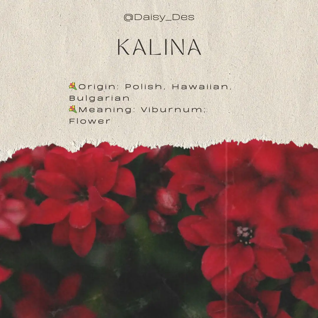 Girl Baby Names 🌸💐Floral Edition💐🌸 Gallery posted by Daisy Des 🌼