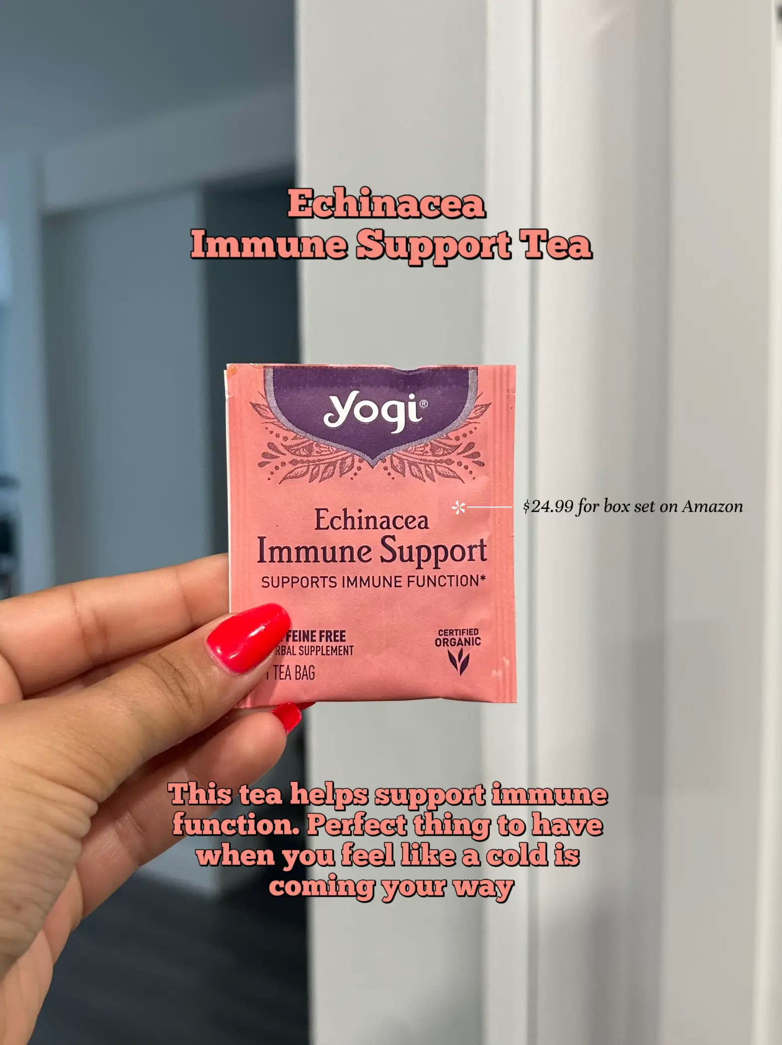 Yogi Tea - Women's Raspberry Leaf, 16 Bags, 1.1oz – Vegan Essentials Online  Store