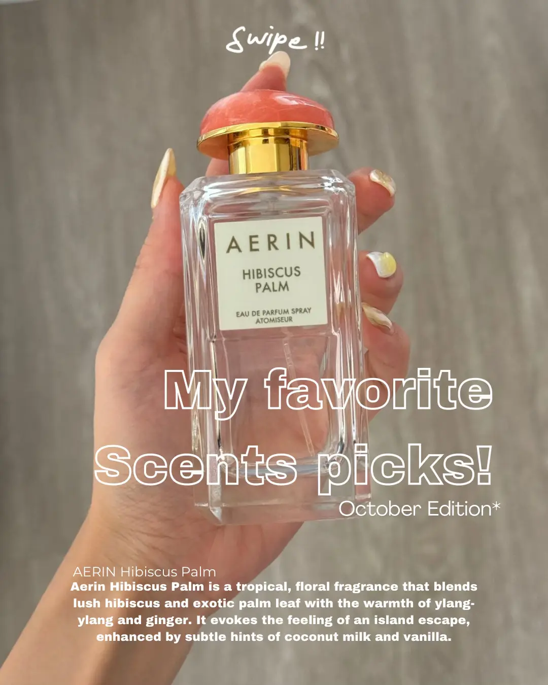 Aerin hibiscus capezo palm clearance