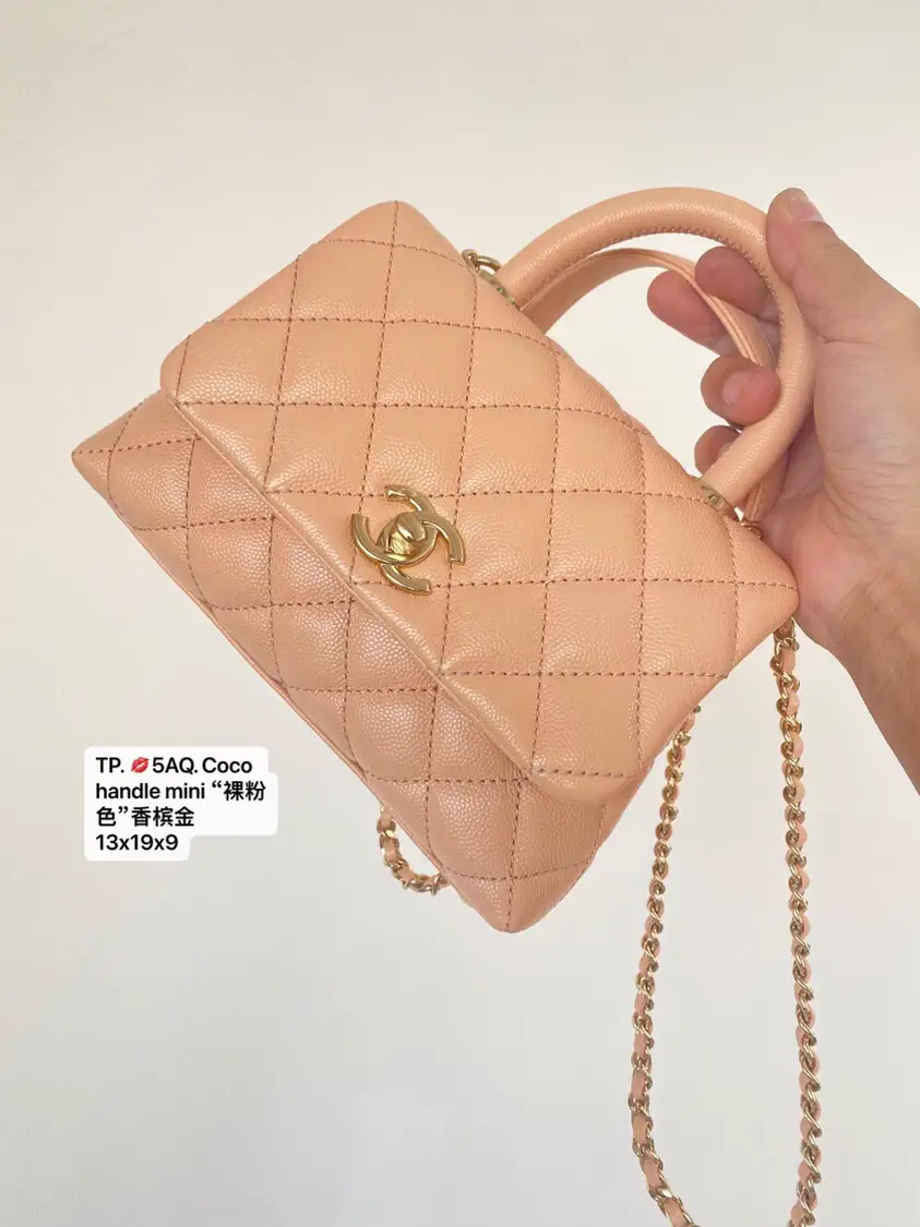 Chanel Coco Handle Bag Review 
