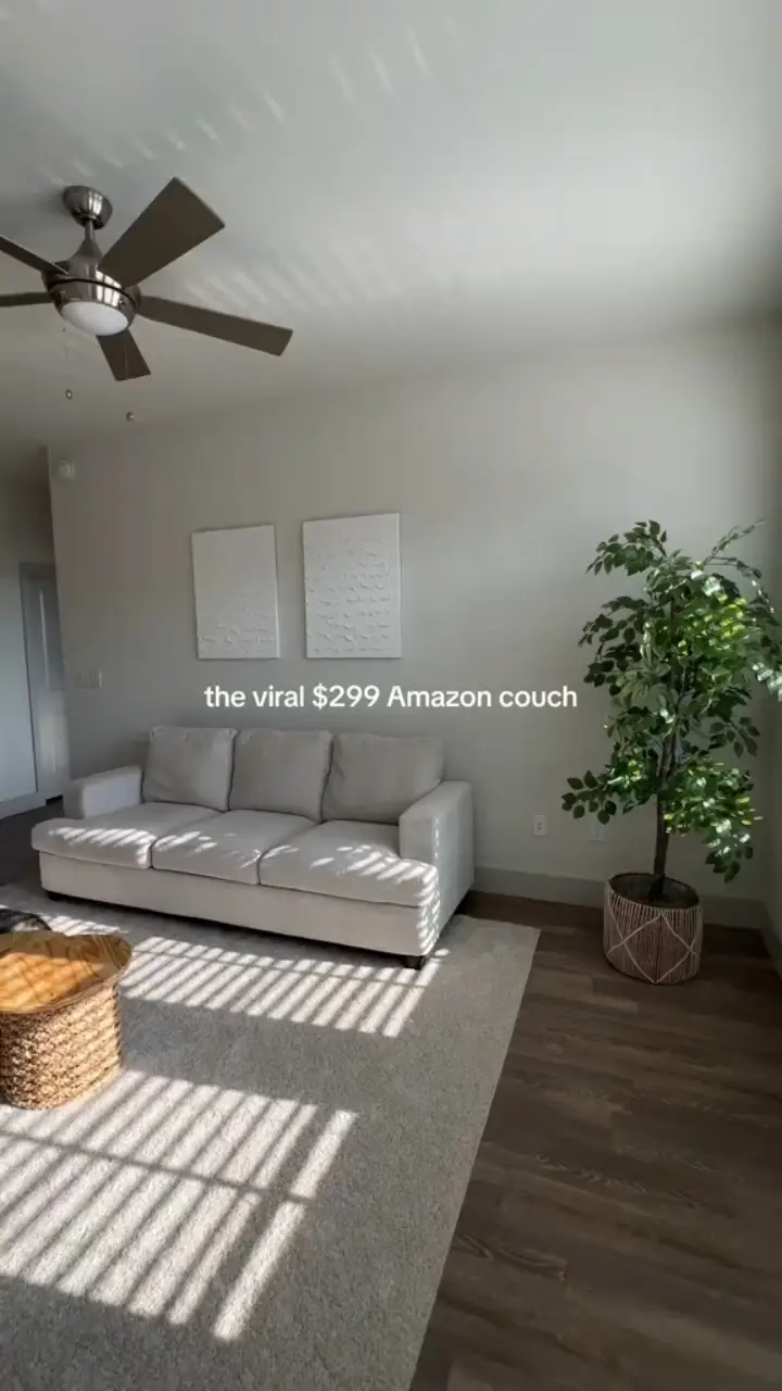 The Viral Amazon Couch 🛋️ | Video published by Home Journal | Lemon8