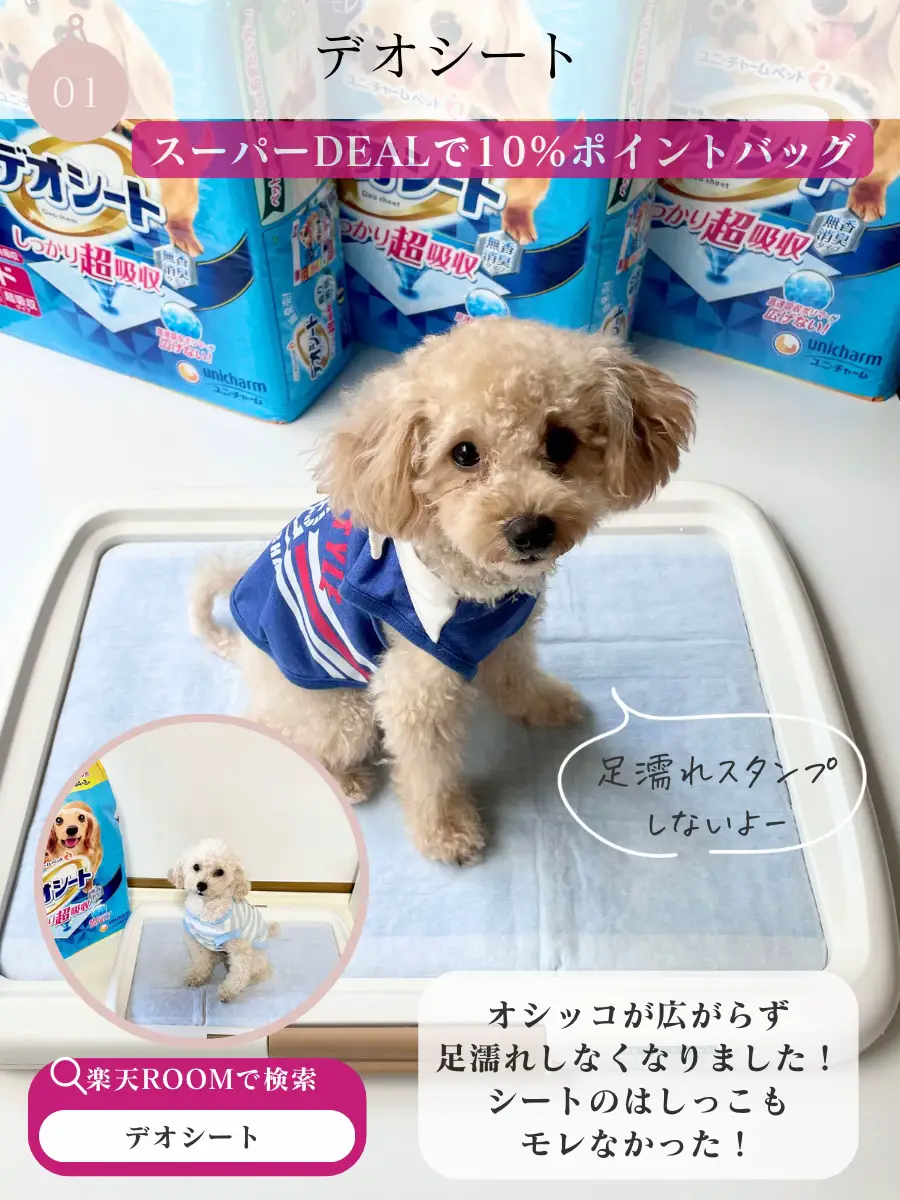 買ってよかった♪わんこグッズ🐩🍪 | わんこと楽しく暮らすヒントが